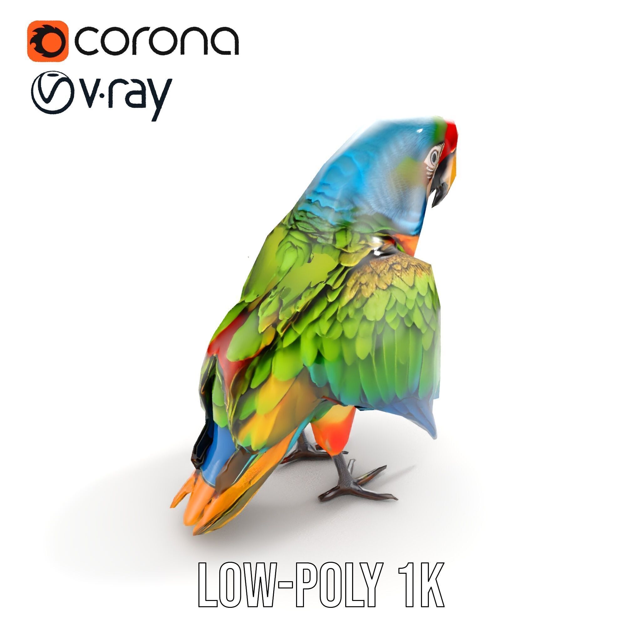Colorful Macaw Parrot D Model Pack Low-poly 3D model_13