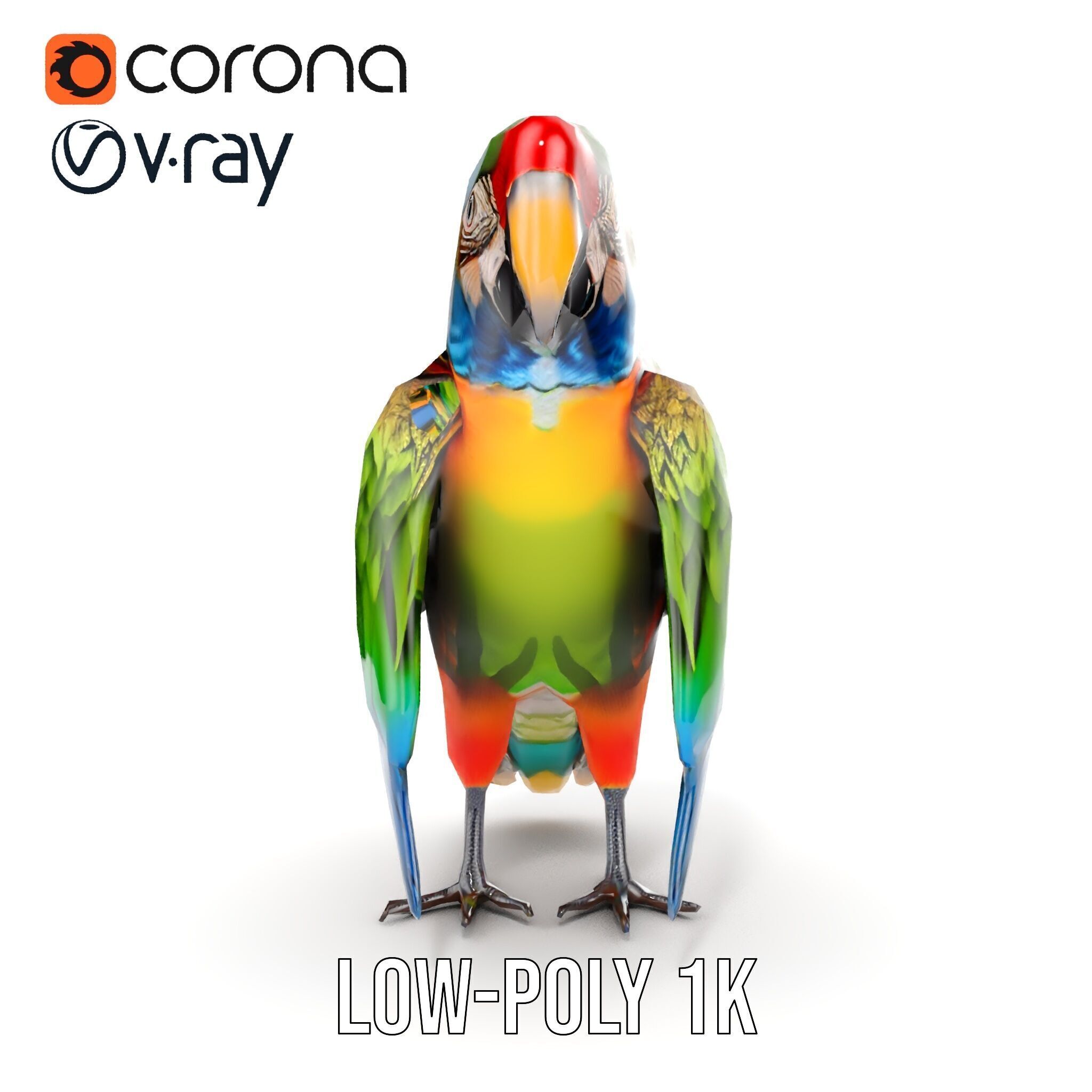 Colorful Macaw Parrot D Model Pack Low-poly 3D model_27