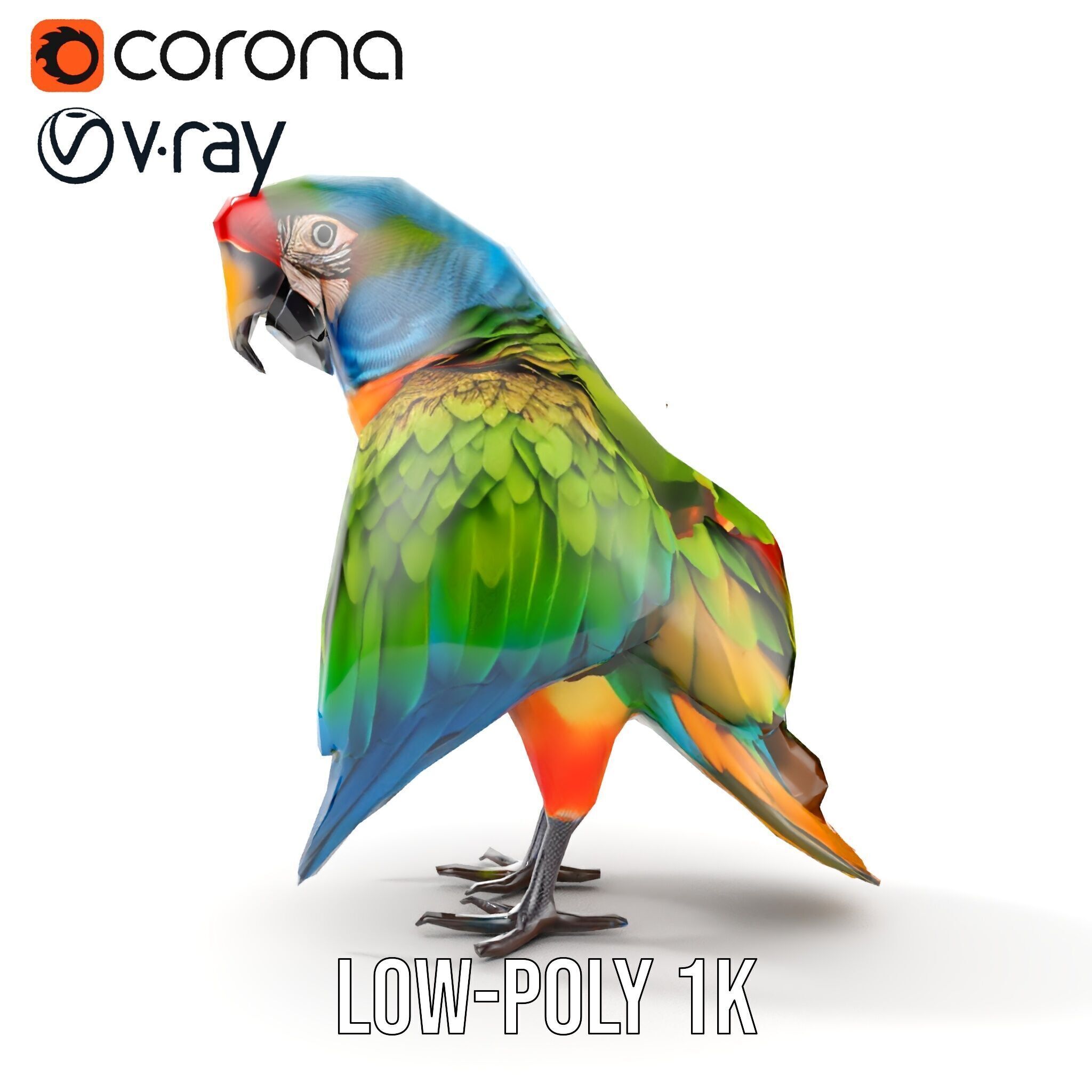 Colorful Macaw Parrot D Model Pack Low-poly 3D model_24