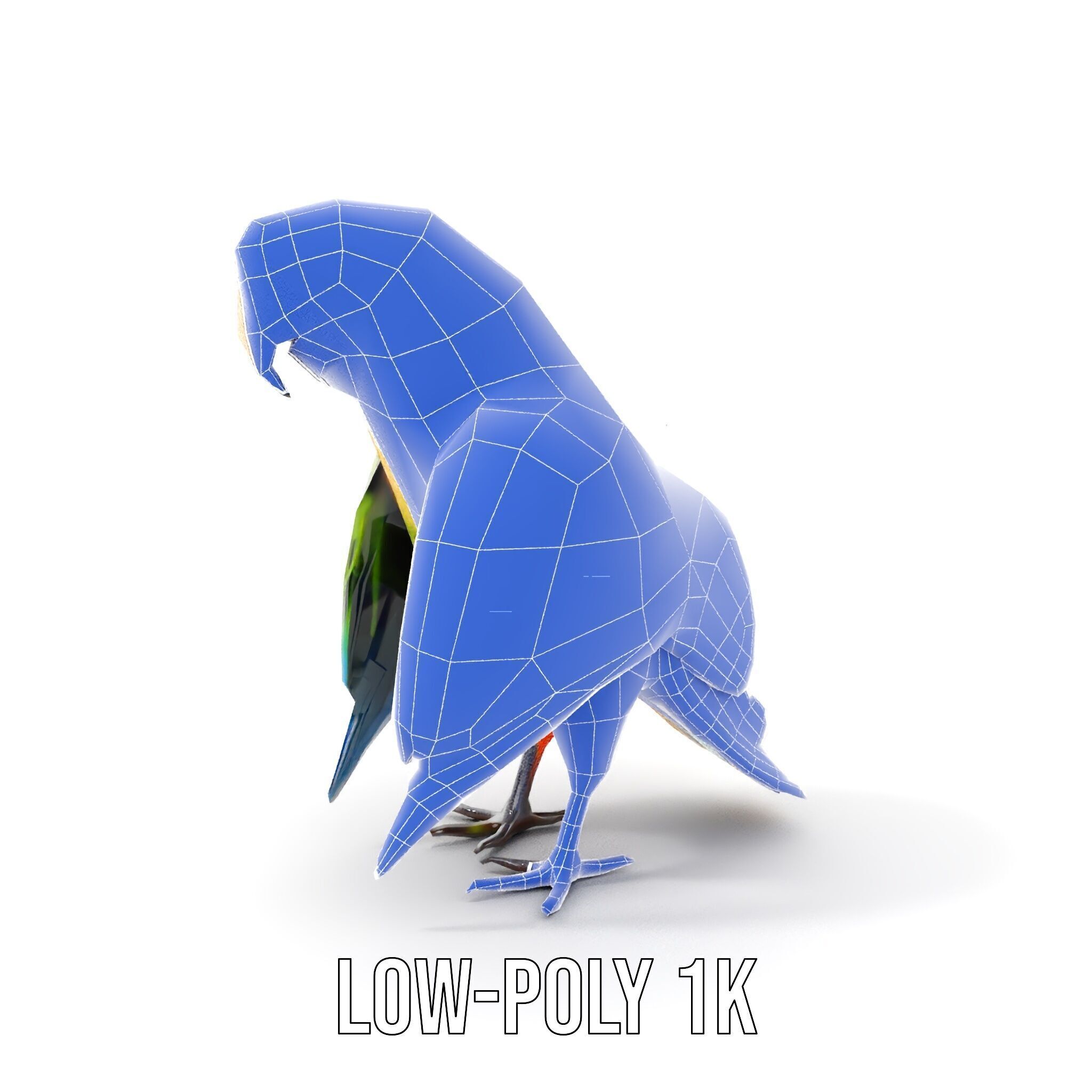 Colorful Macaw Parrot D Model Pack Low-poly 3D model_16