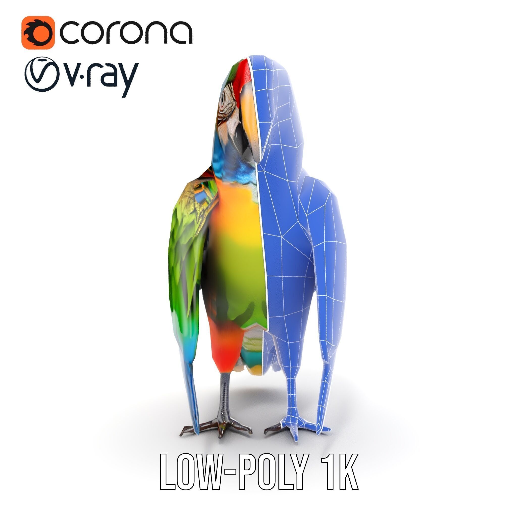 Colorful Macaw Parrot D Model Pack Low-poly 3D model_29