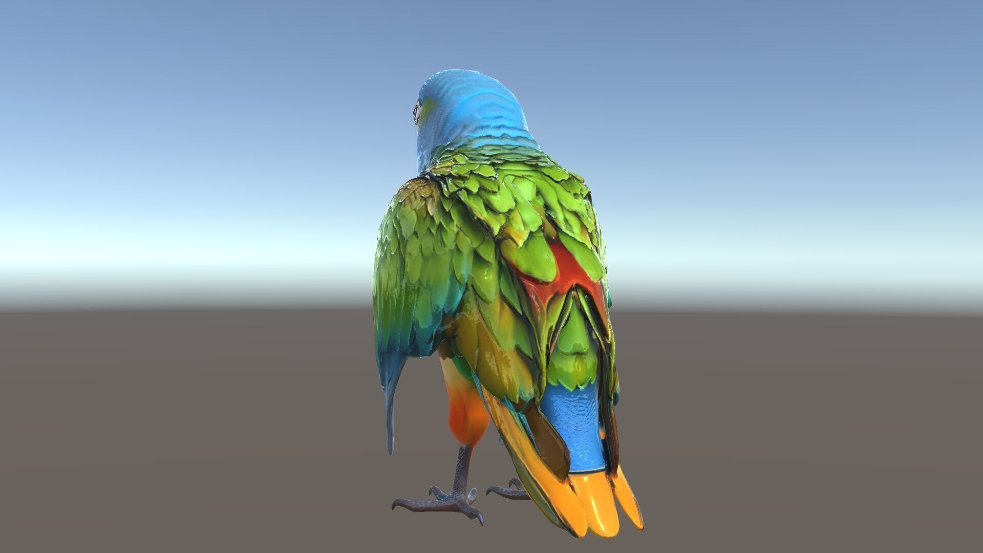 Colorful Macaw Parrot D Model Pack Low-poly 3D model_33