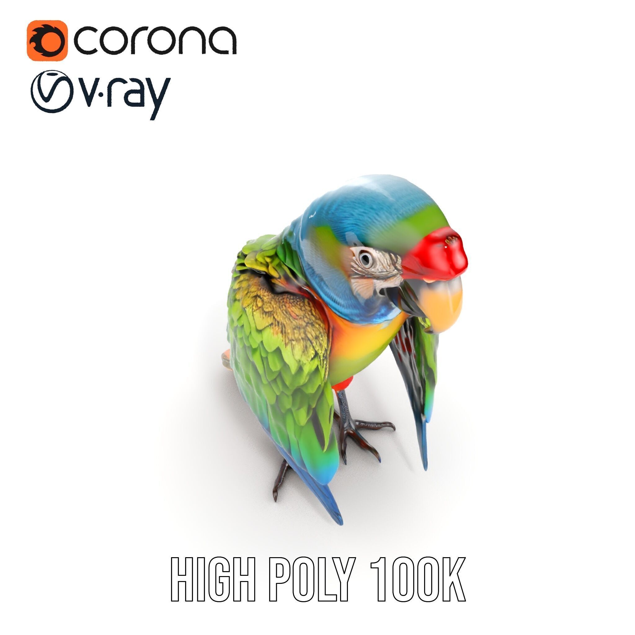 Colorful Macaw Parrot D Model Pack Low-poly 3D model_25