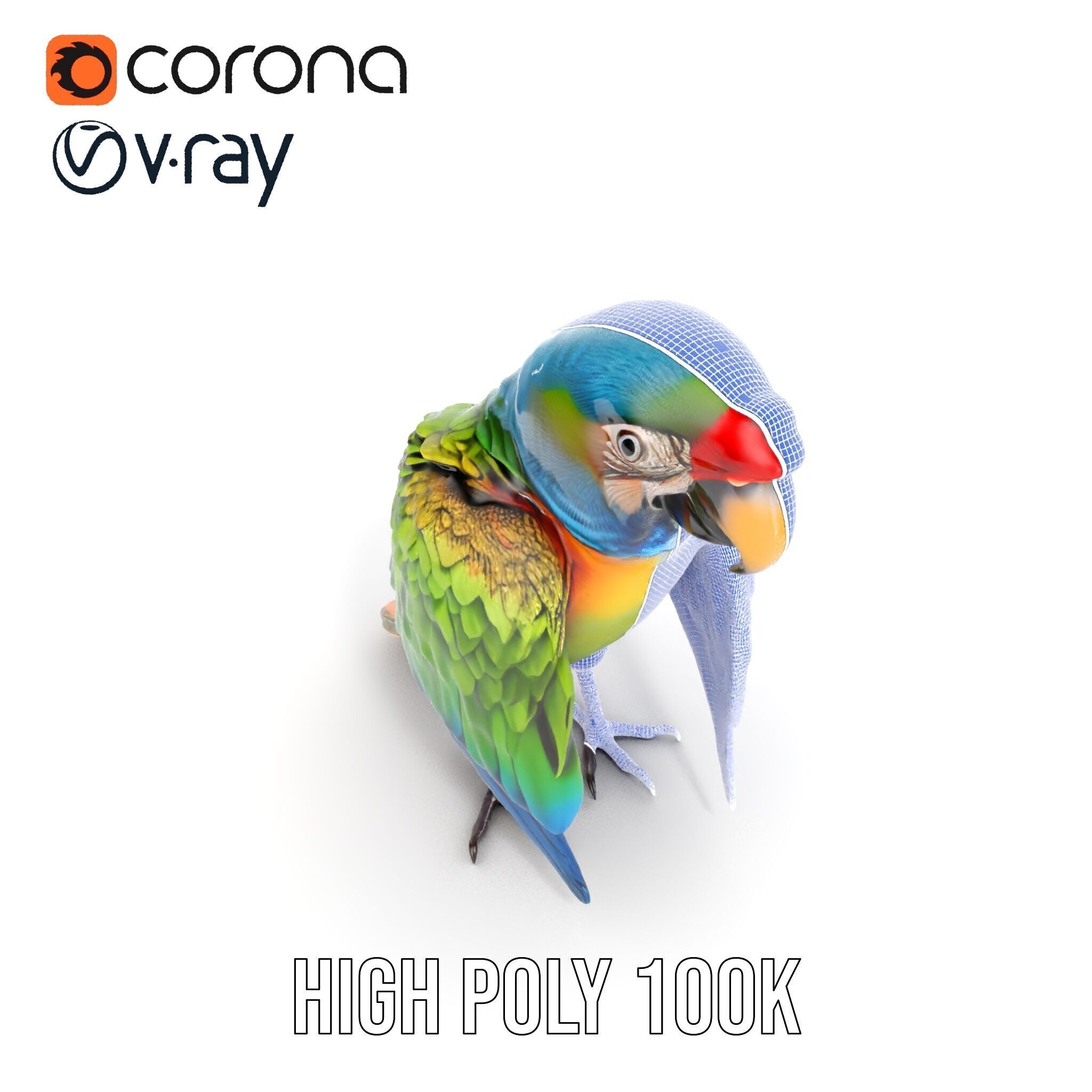 Colorful Macaw Parrot D Model Pack Low-poly 3D model_36