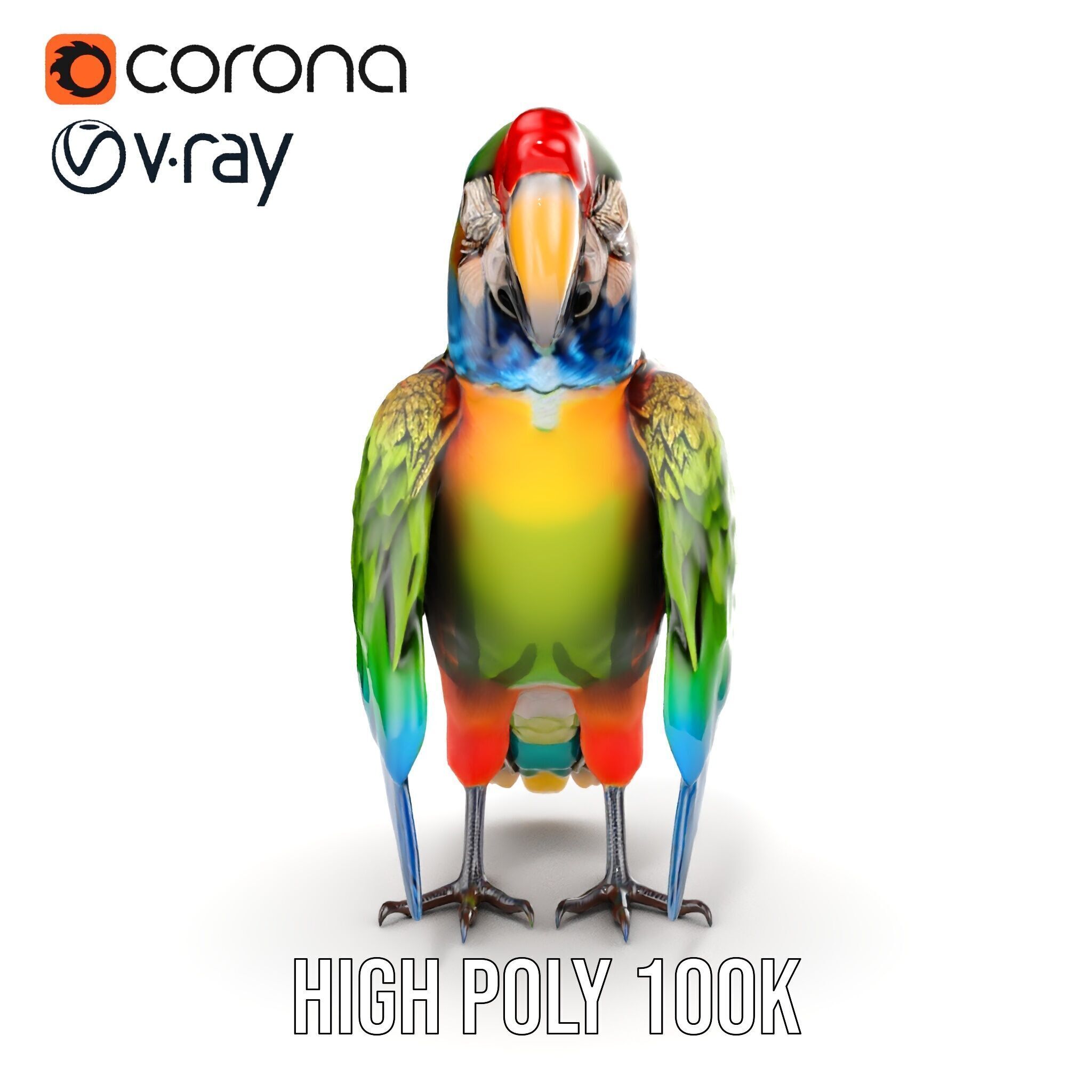 Colorful Macaw Parrot D Model Pack Low-poly 3D model_22