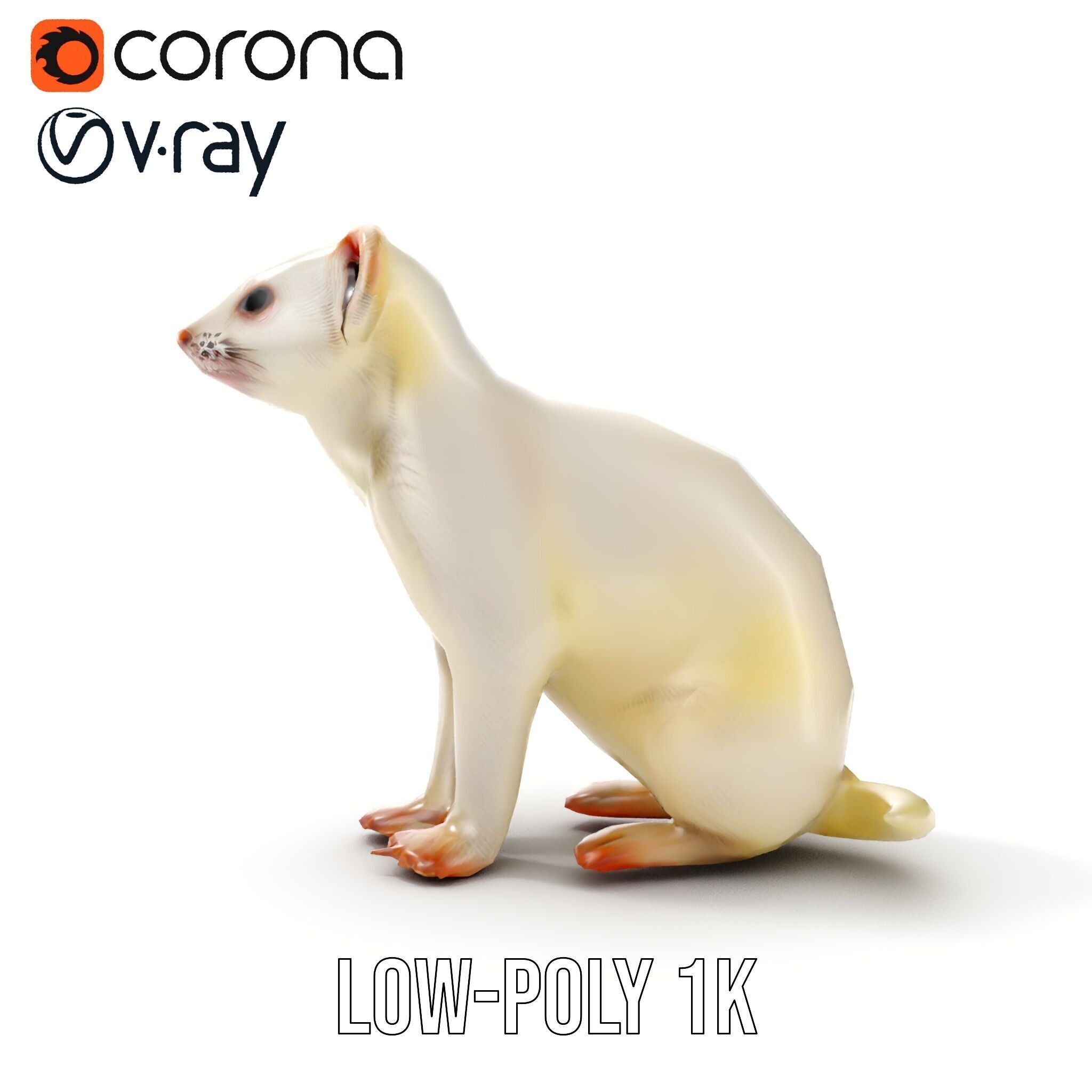 White Ferret D Model Pack Low-poly 3D model_21