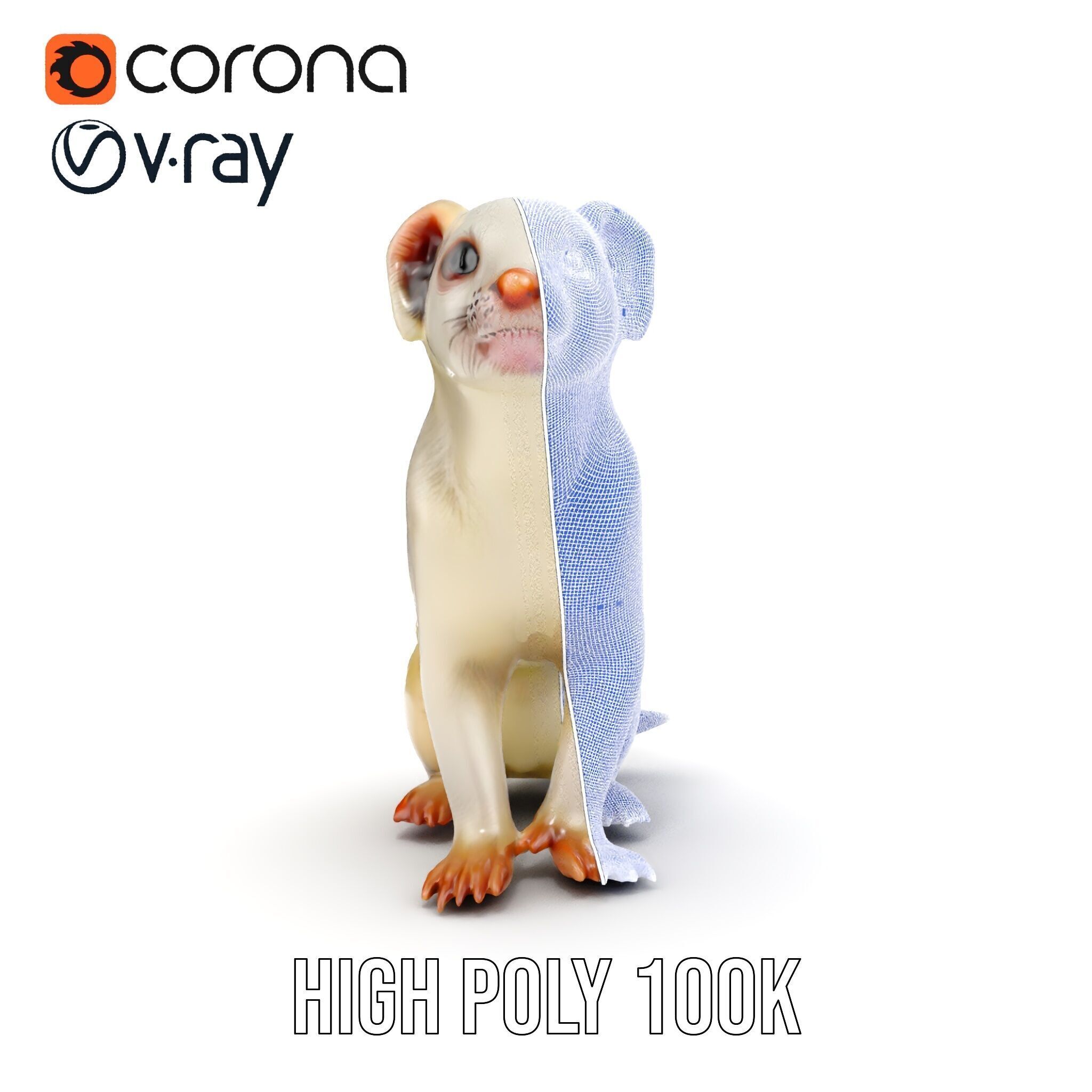 White Ferret D Model Pack Low-poly 3D model_39