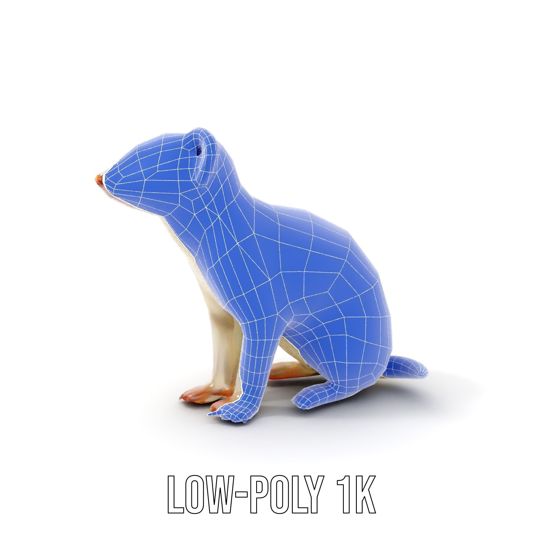 White Ferret D Model Pack Low-poly 3D model_27