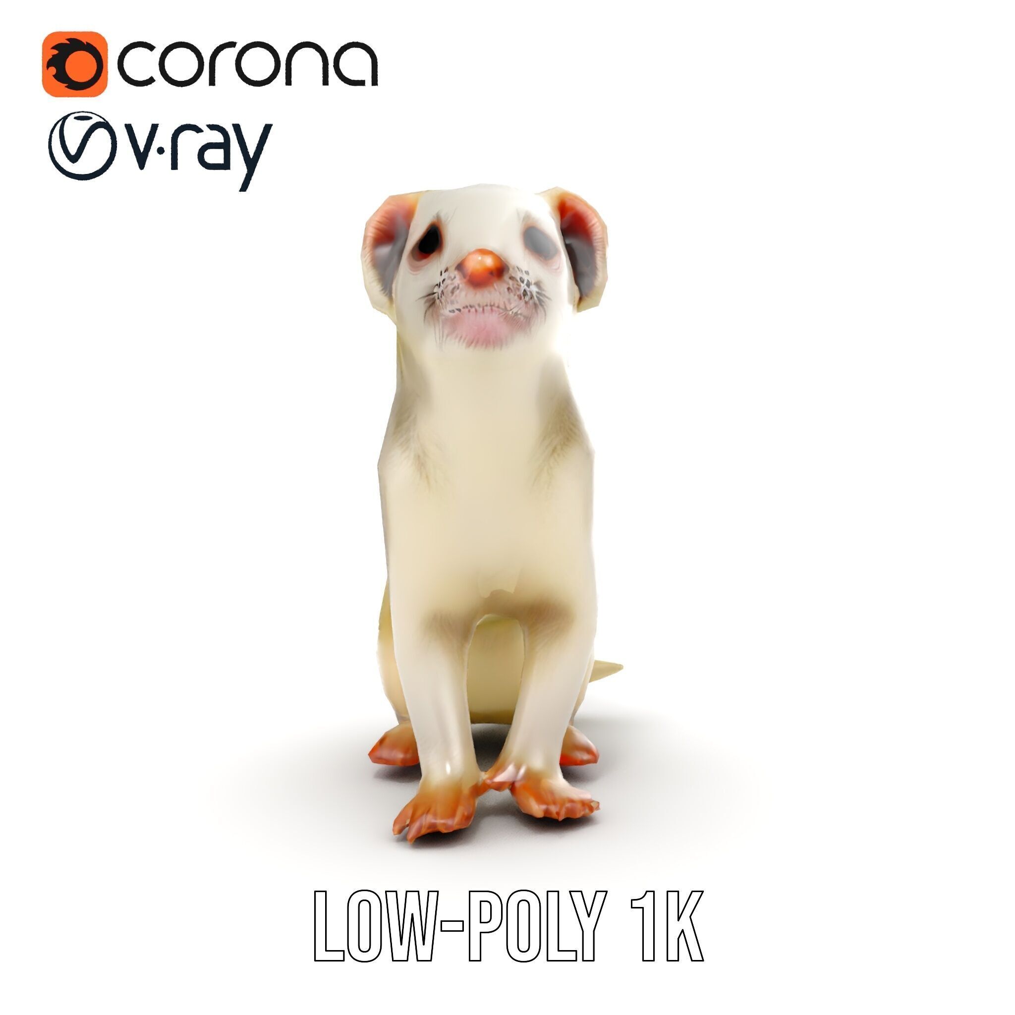 White Ferret D Model Pack Low-poly 3D model_14