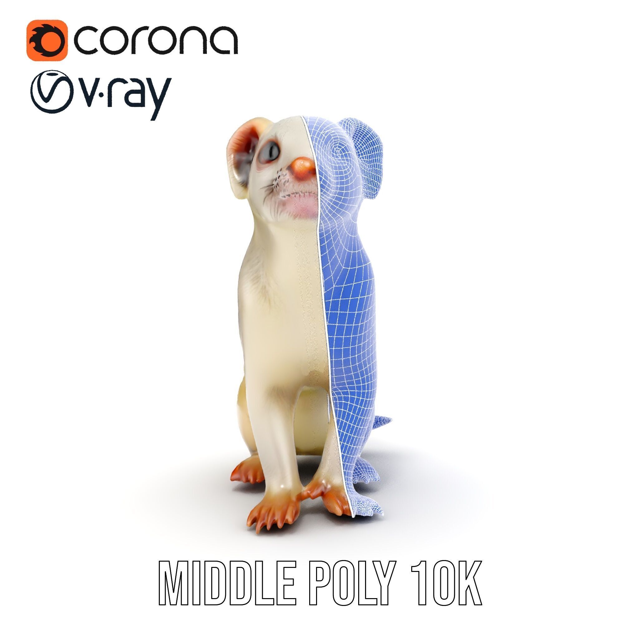 White Ferret D Model Pack Low-poly 3D model_29