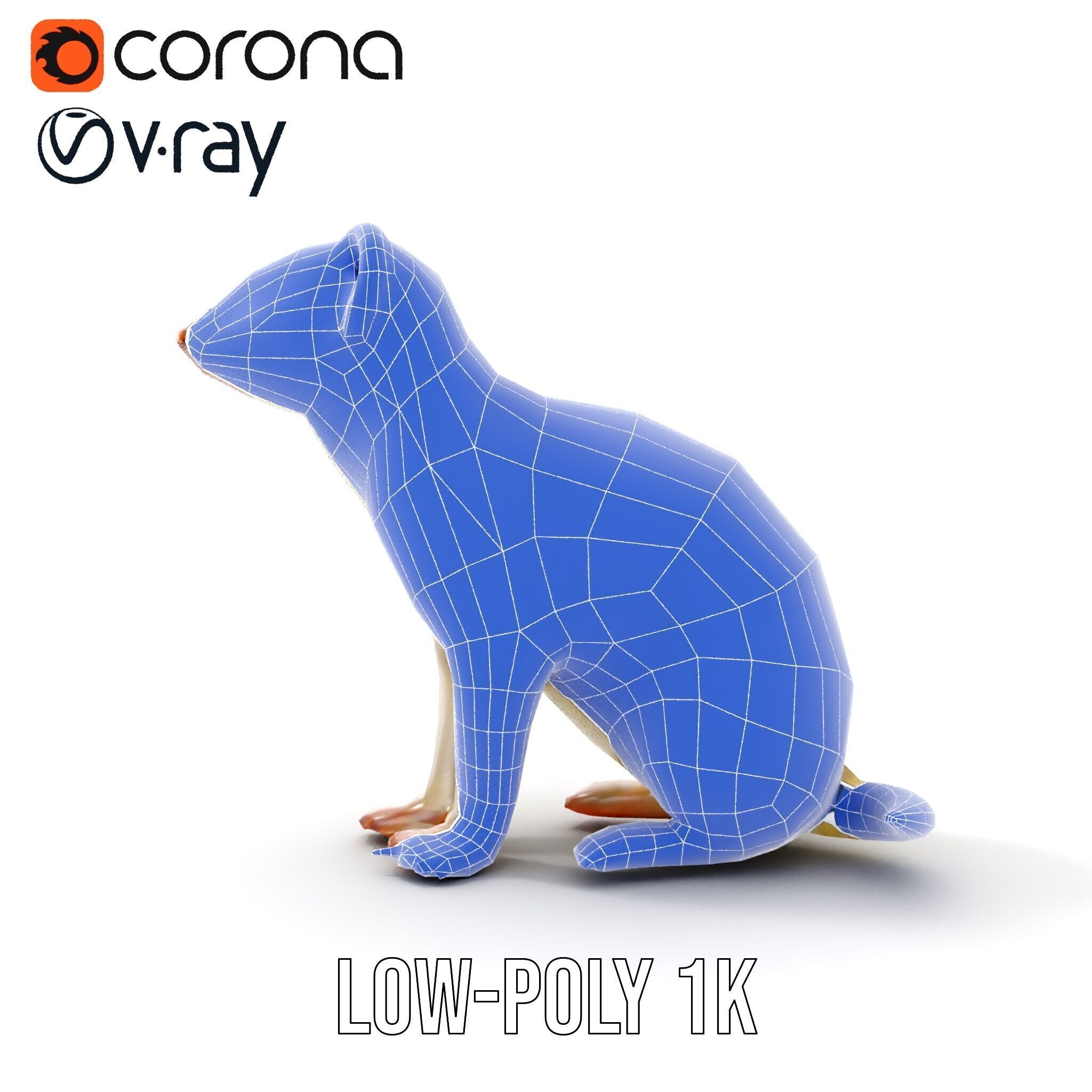 White Ferret D Model Pack Low-poly 3D model_24