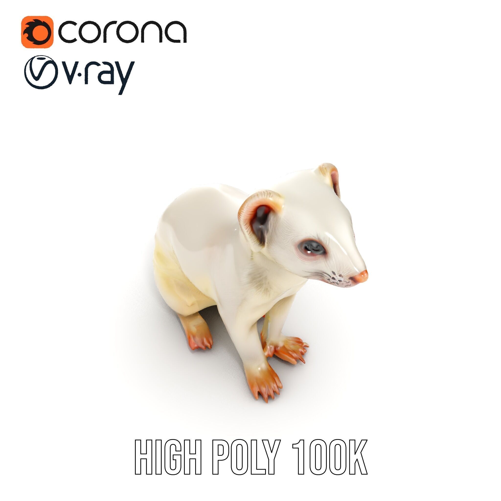 White Ferret D Model Pack Low-poly 3D model_31