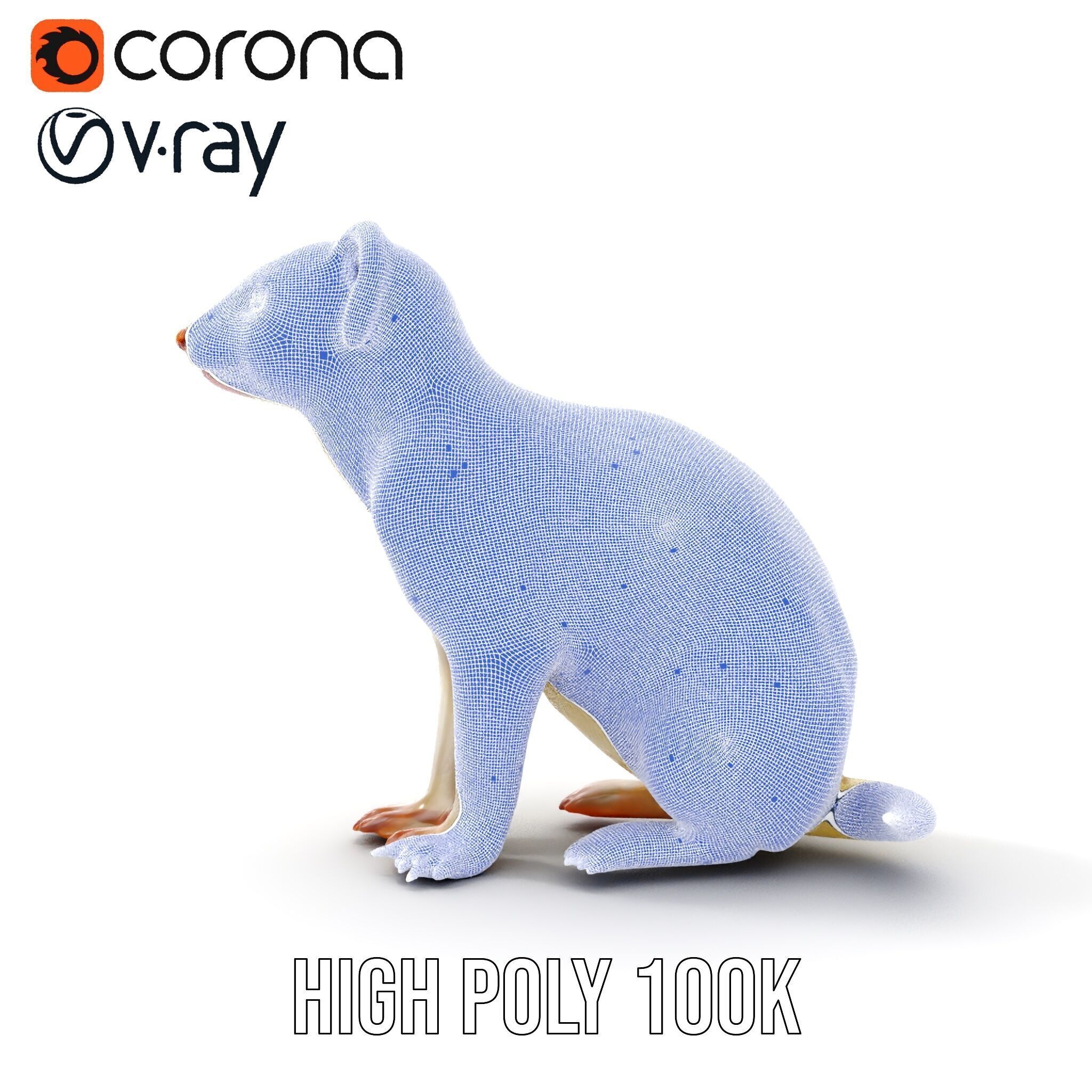 White Ferret D Model Pack Low-poly 3D model_38