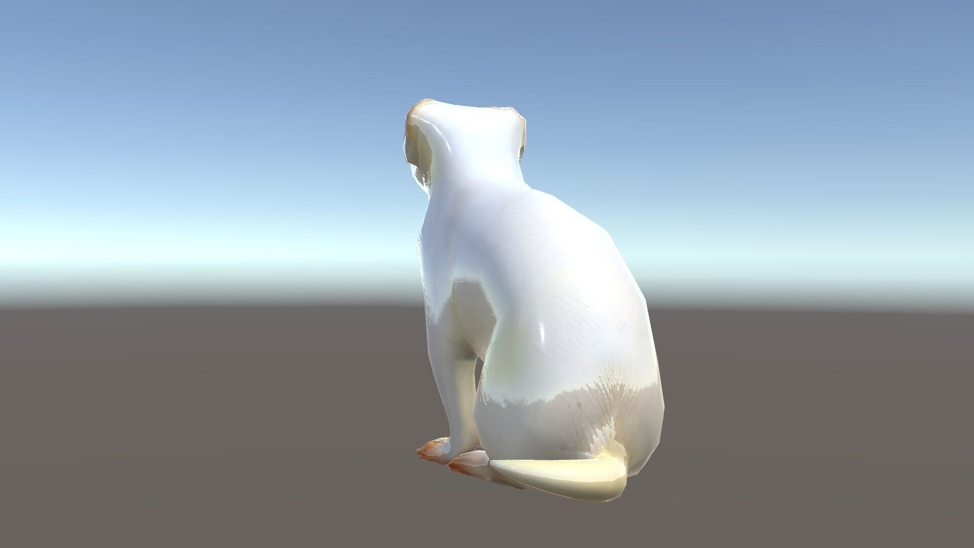 White Ferret D Model Pack Low-poly 3D model_35