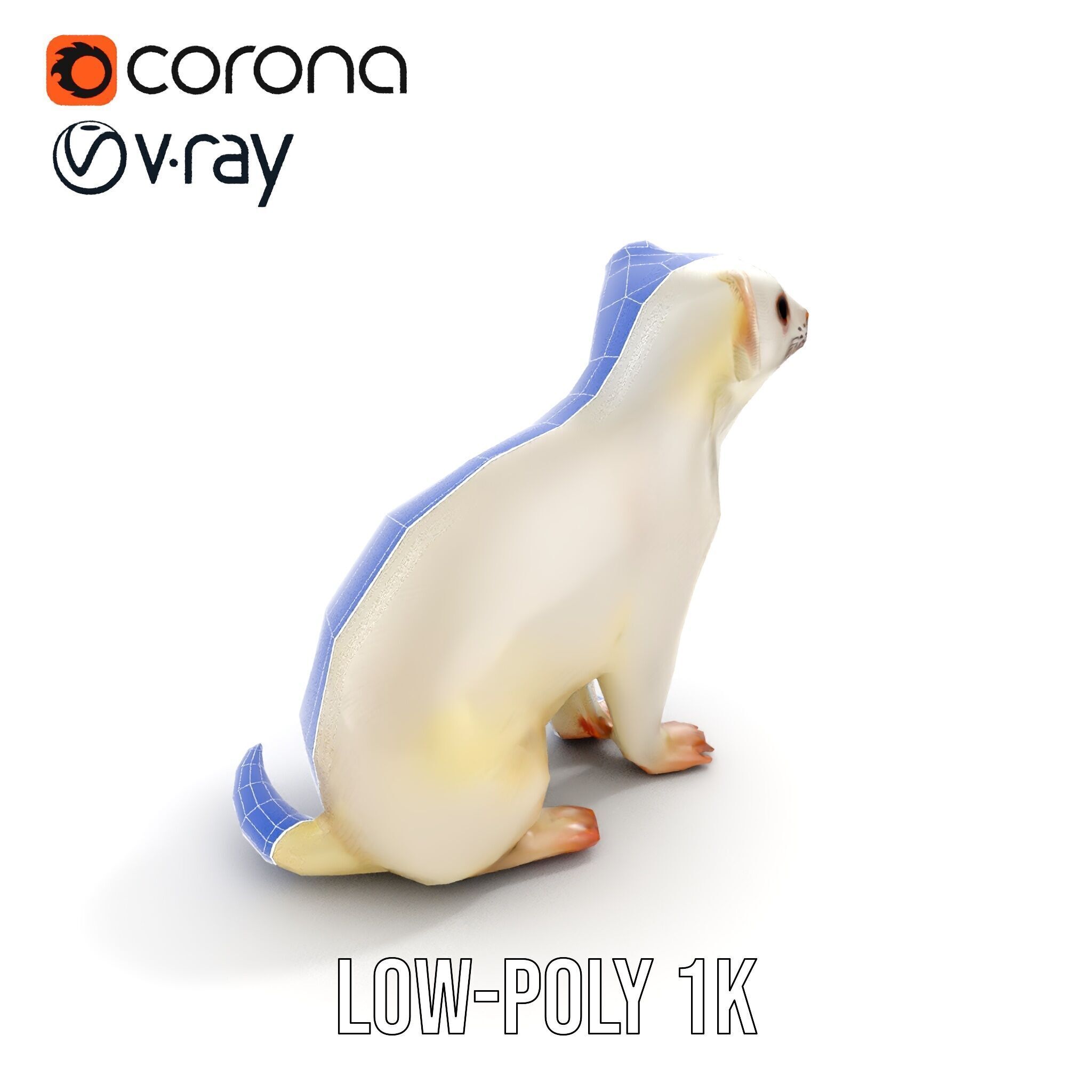 White Ferret D Model Pack Low-poly 3D model_30