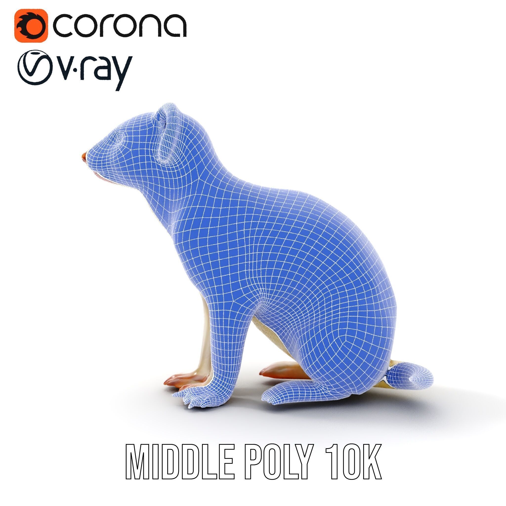 White Ferret D Model Pack Low-poly 3D model_26