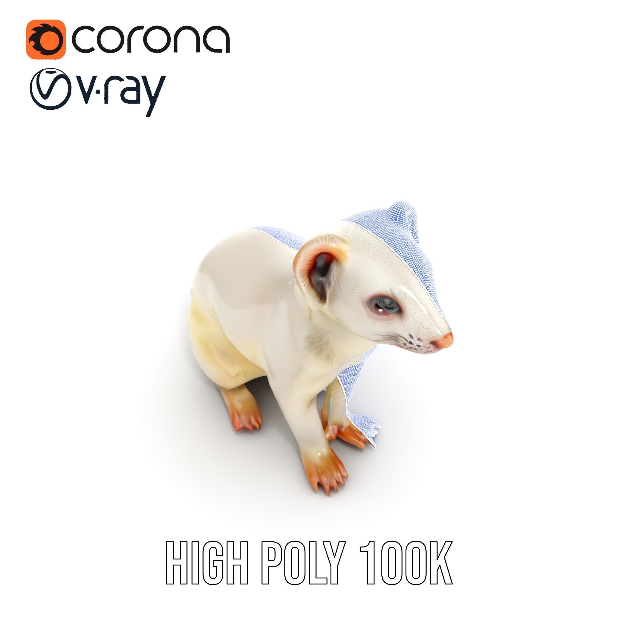 White Ferret D Model Pack Low-poly 3D model_25