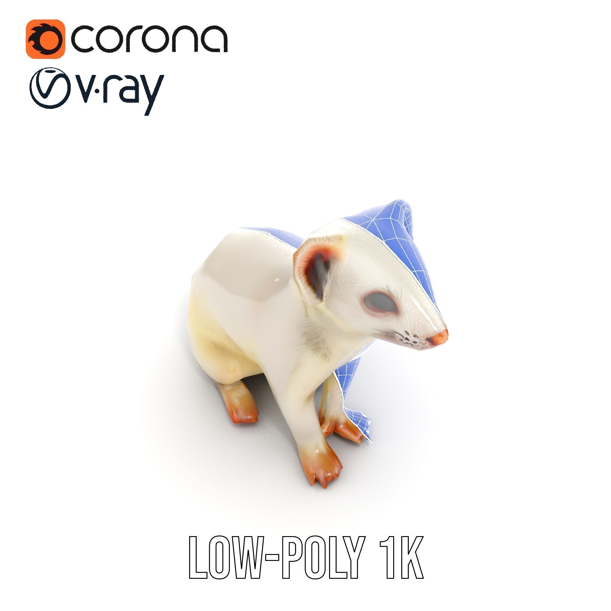 White Ferret D Model Pack Low-poly 3D model_19