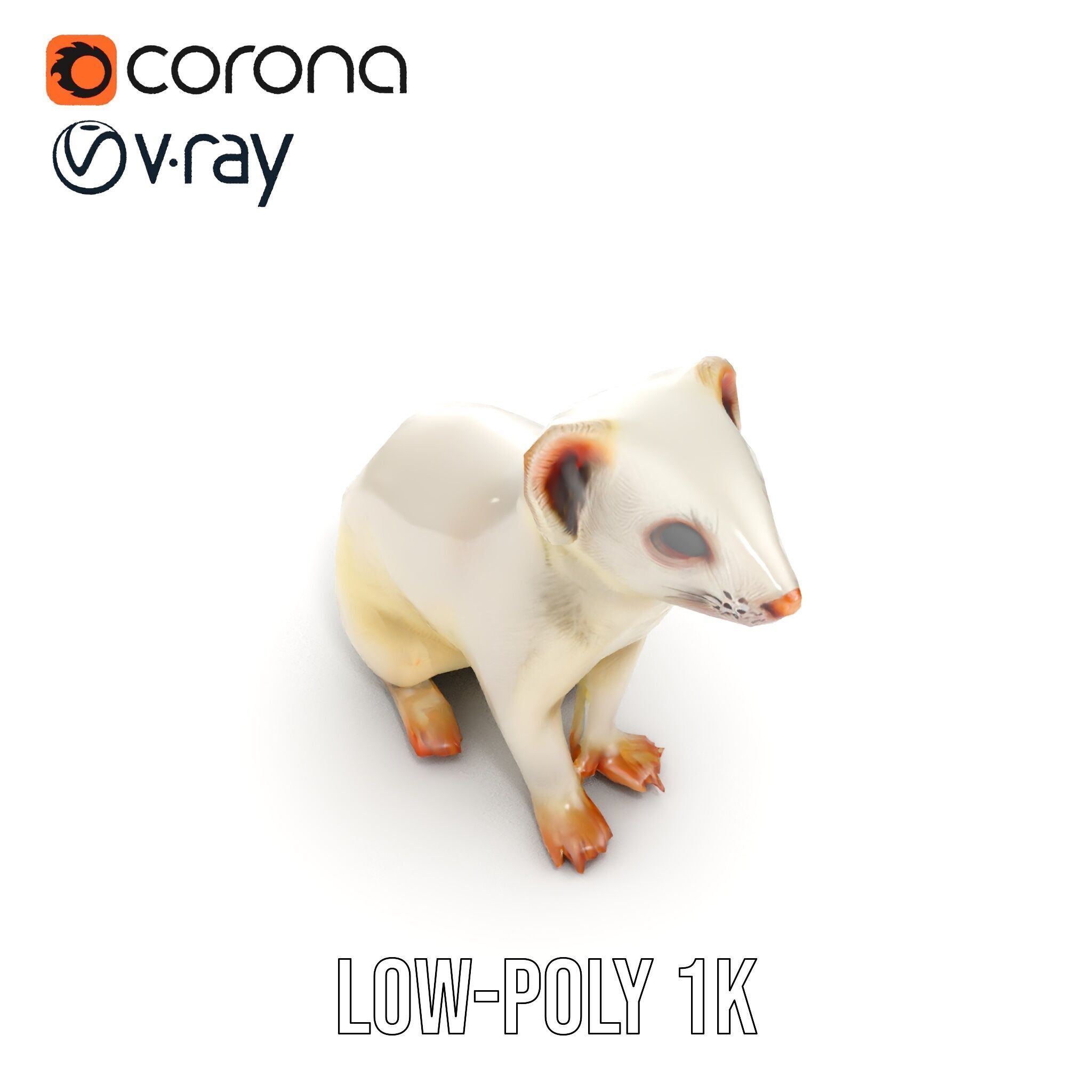 White Ferret D Model Pack Low-poly 3D model_17