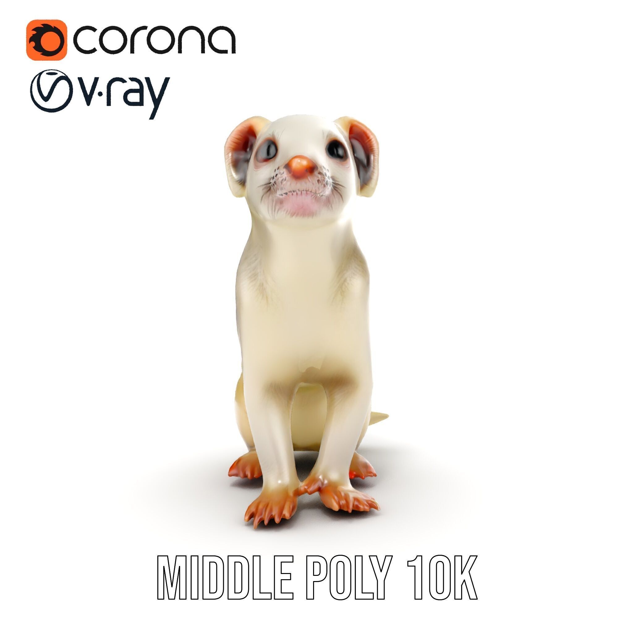 White Ferret D Model Pack Low-poly 3D model_13