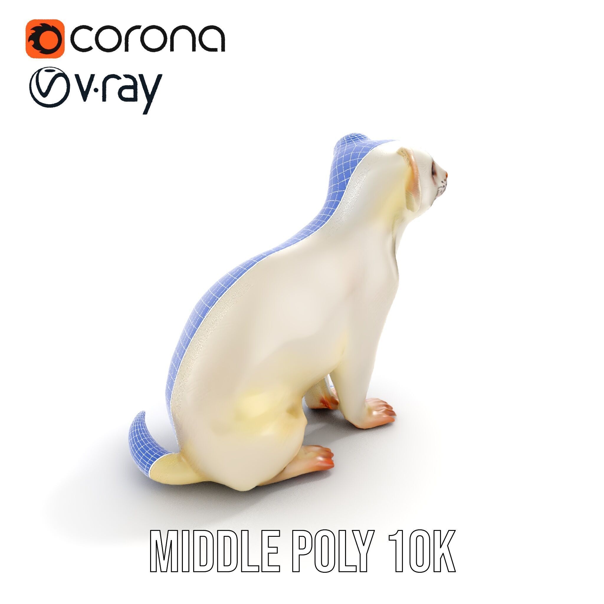 White Ferret D Model Pack Low-poly 3D model_23