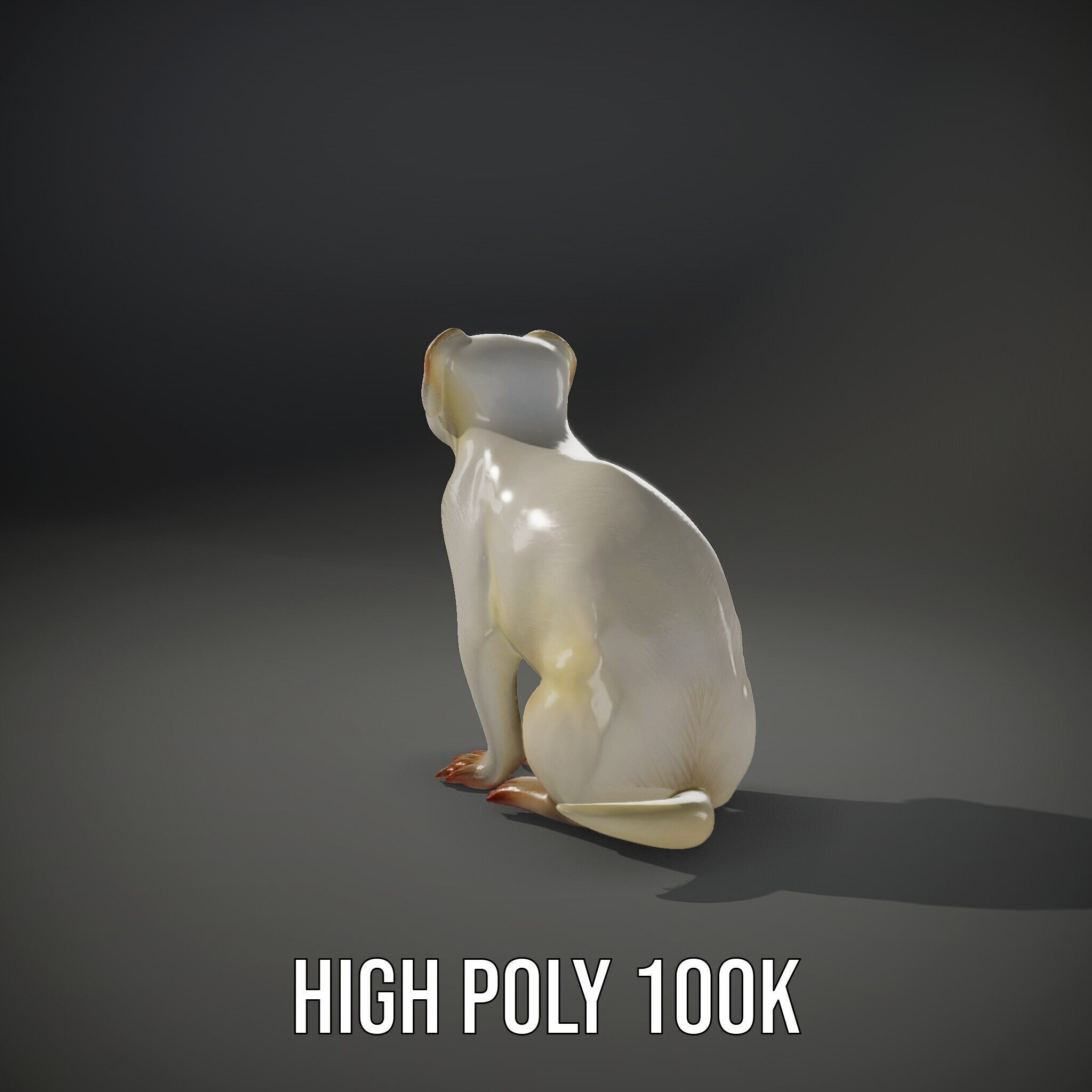 White Ferret D Model Pack Low-poly 3D model_15