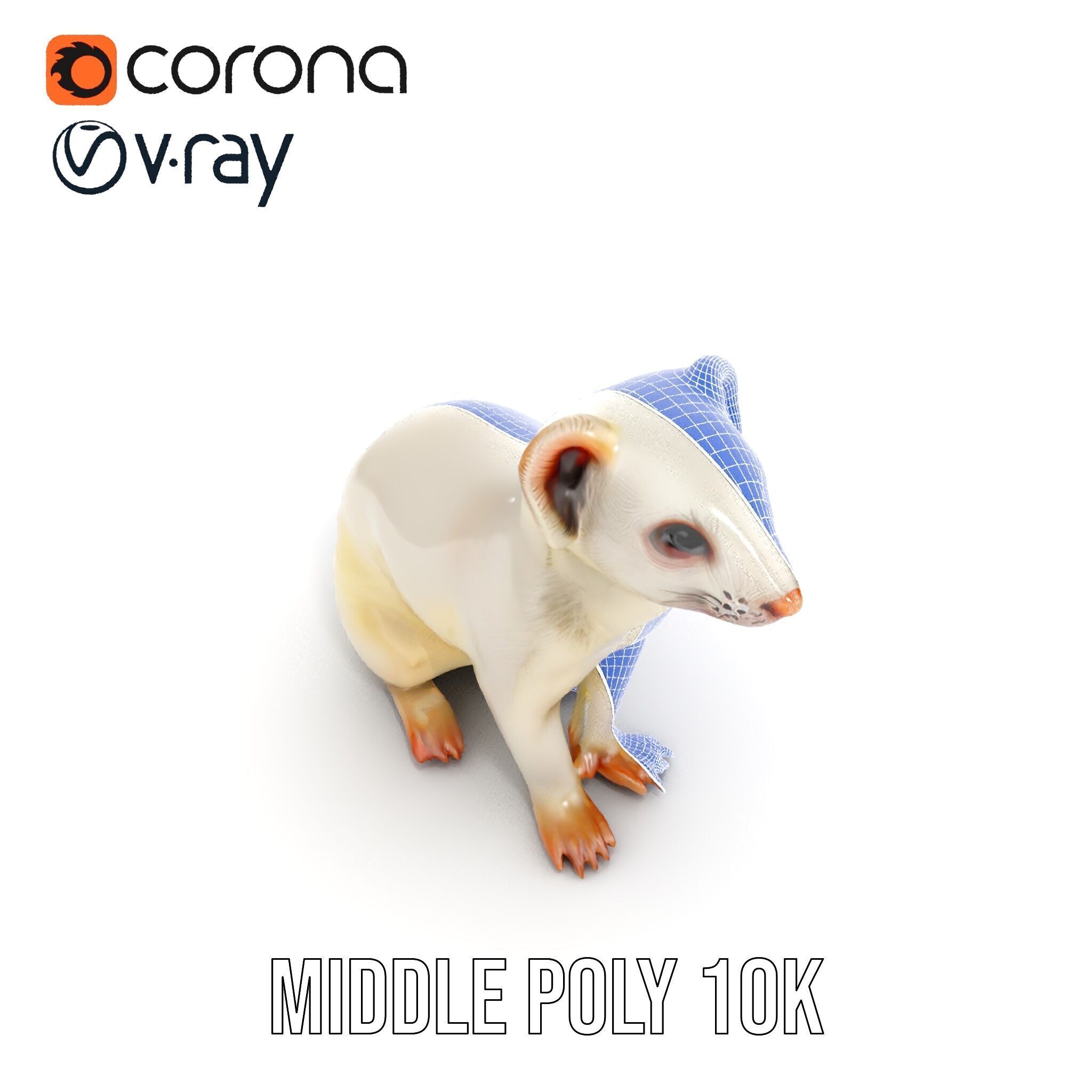 White Ferret D Model Pack Low-poly 3D model_32
