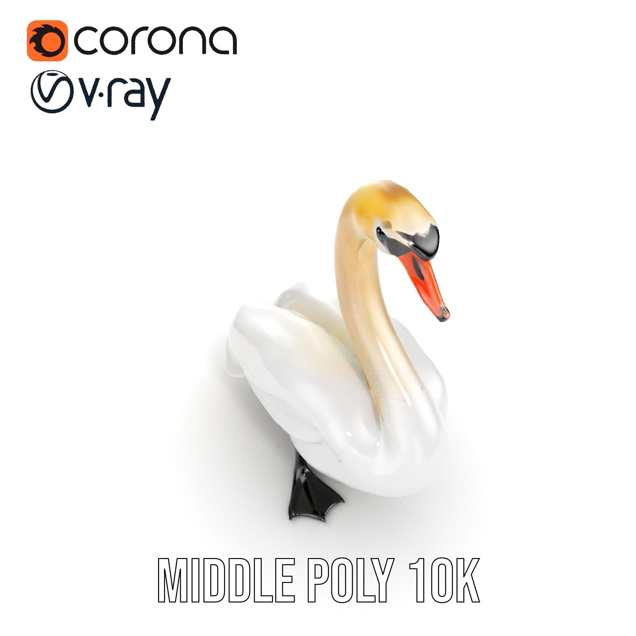 Elegant Swan D Model Pack for Detailed Rendering Low-poly 3D model_17