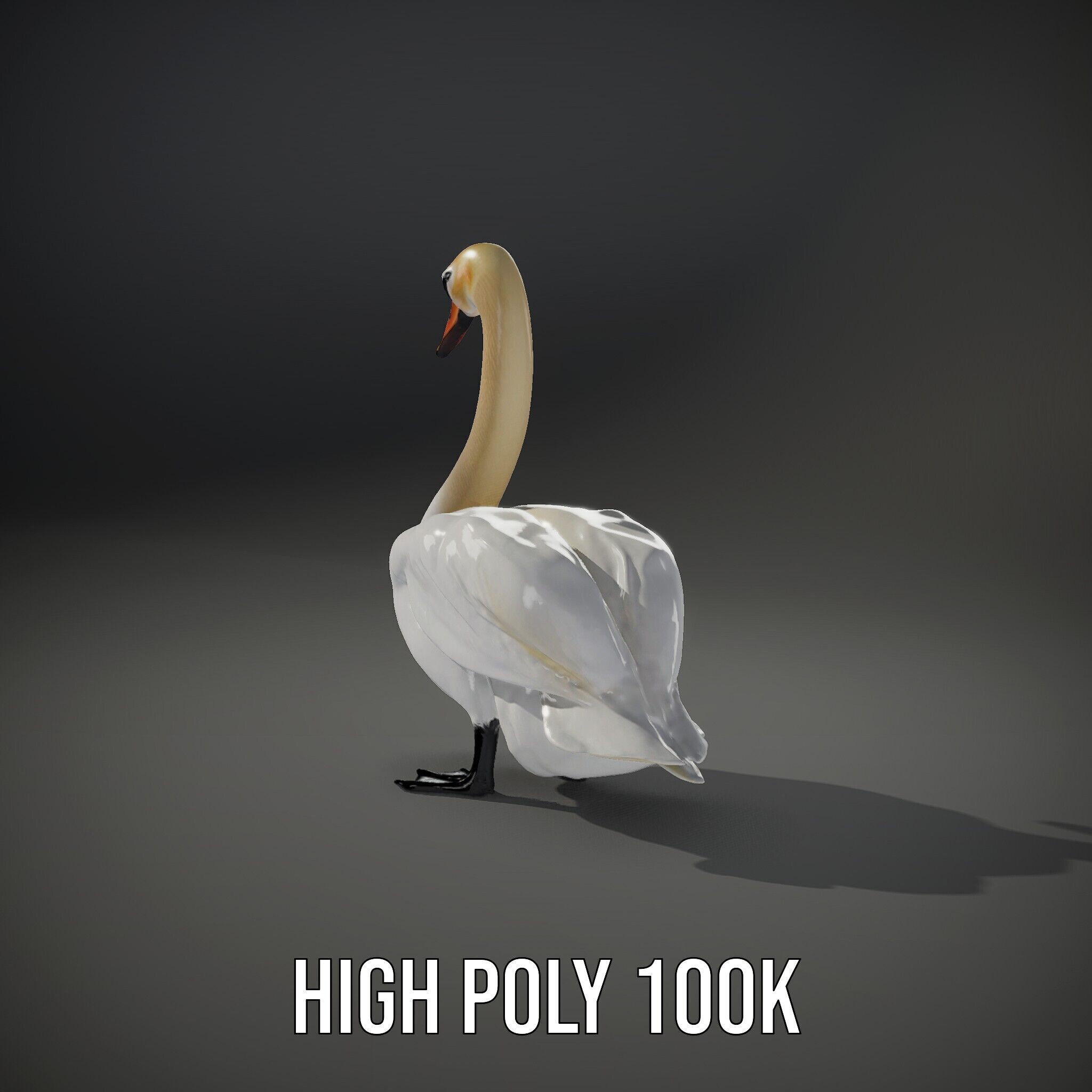 Elegant Swan D Model Pack for Detailed Rendering Low-poly 3D model_14