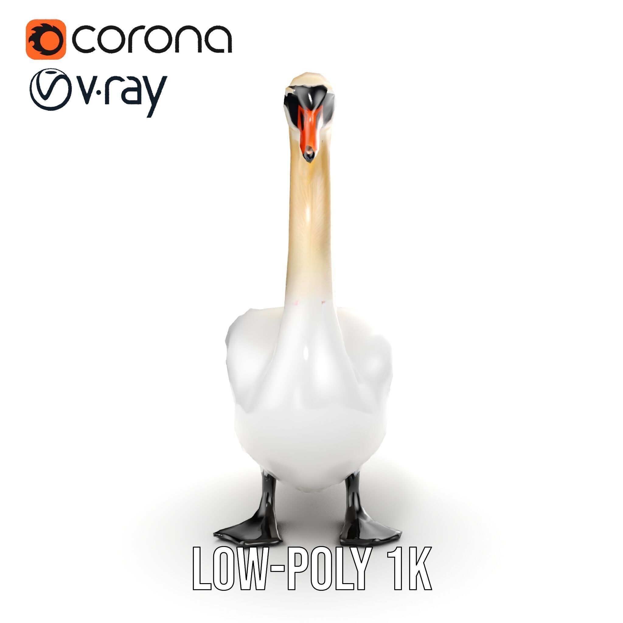 Elegant Swan D Model Pack for Detailed Rendering Low-poly 3D model_18