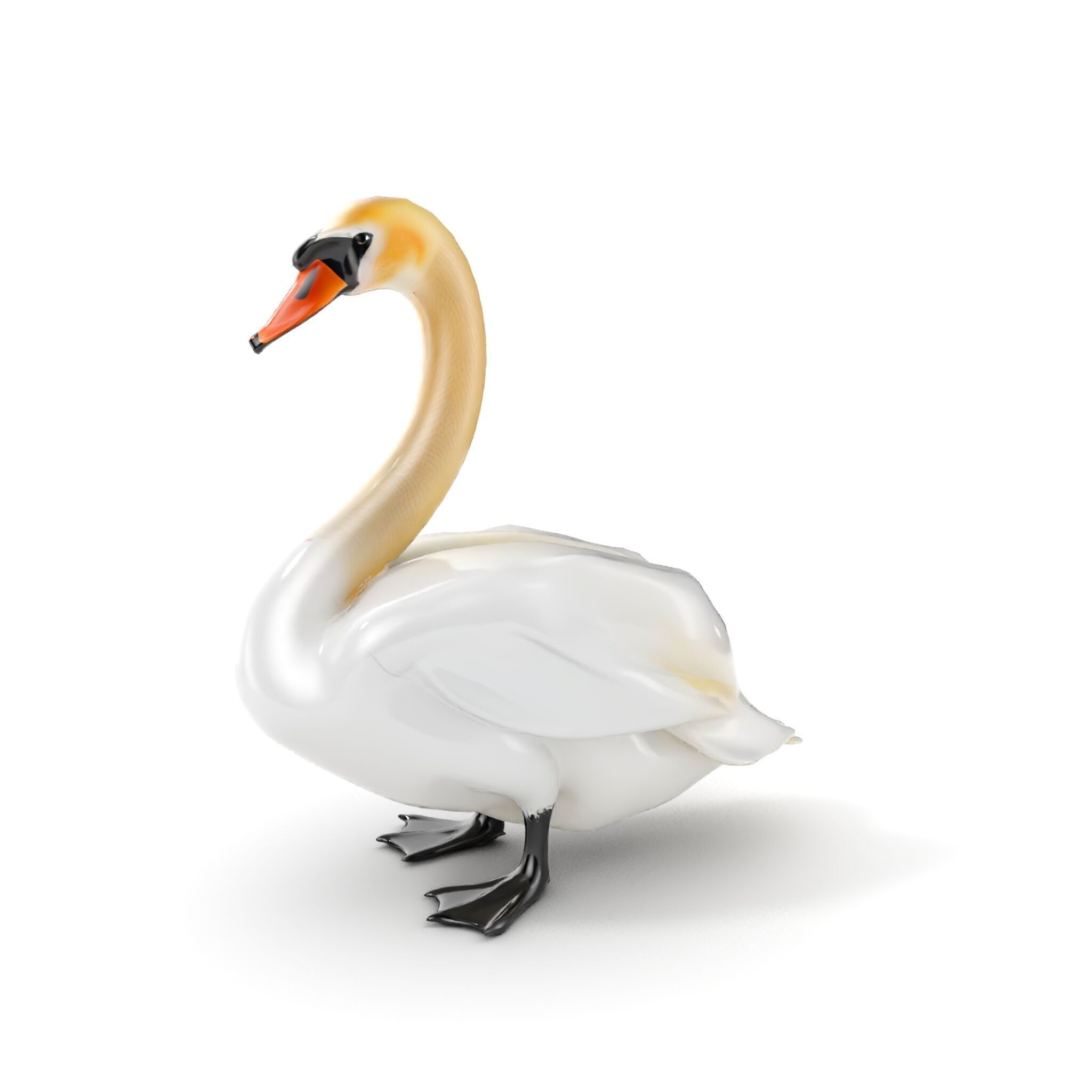 Elegant Swan D Model Pack for Detailed Rendering Low-poly 3D model_6