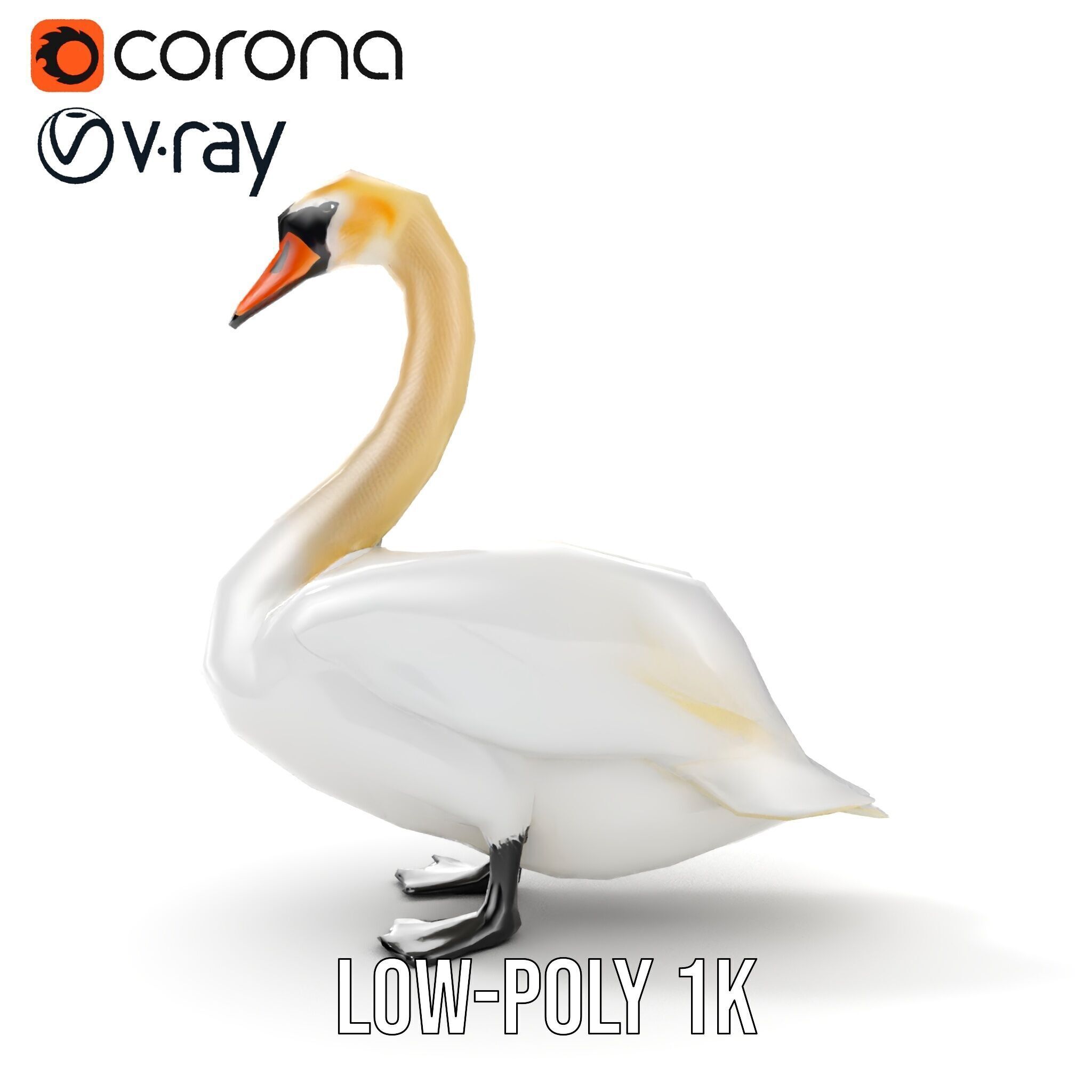 Elegant Swan D Model Pack for Detailed Rendering Low-poly 3D model_27