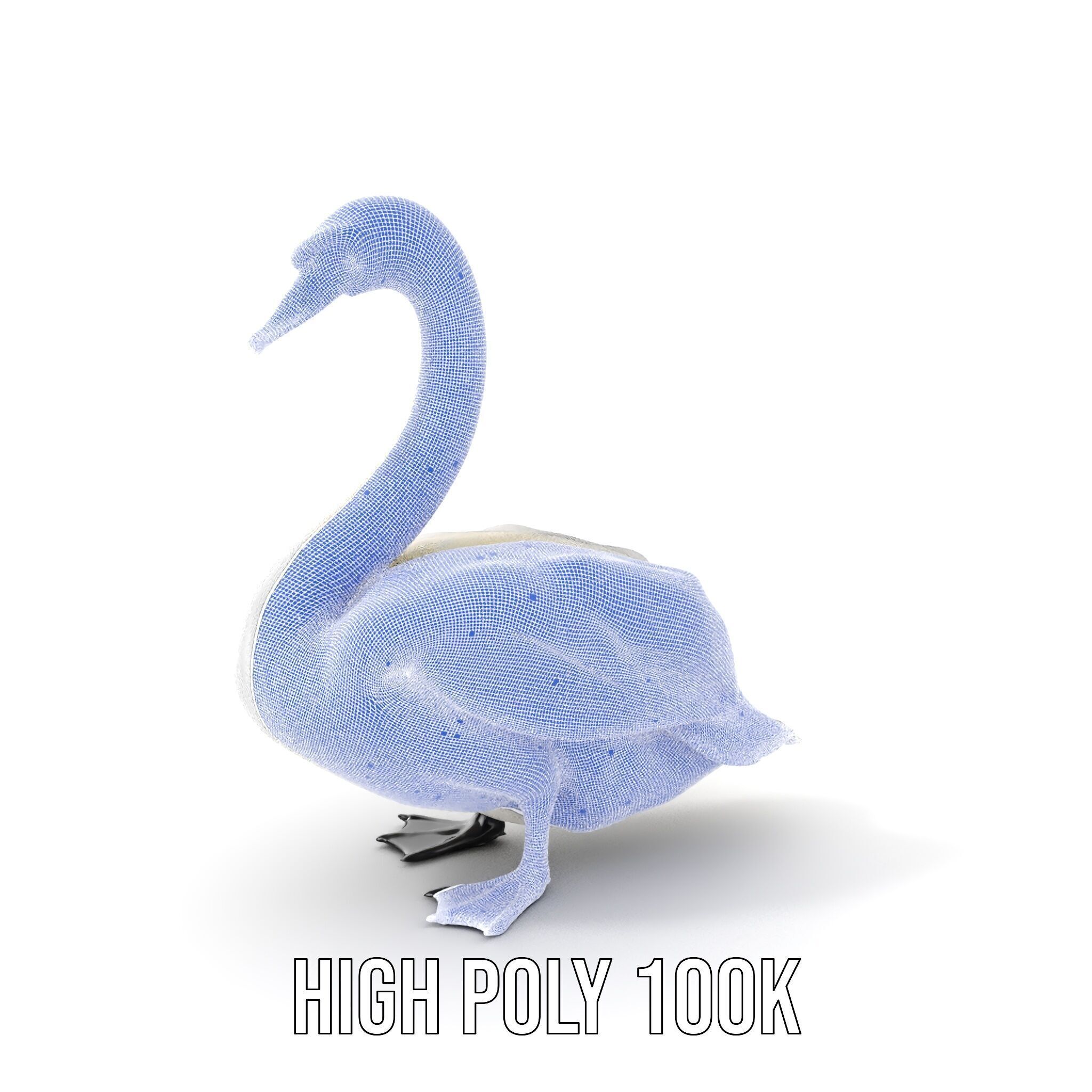 Elegant Swan D Model Pack for Detailed Rendering Low-poly 3D model_4