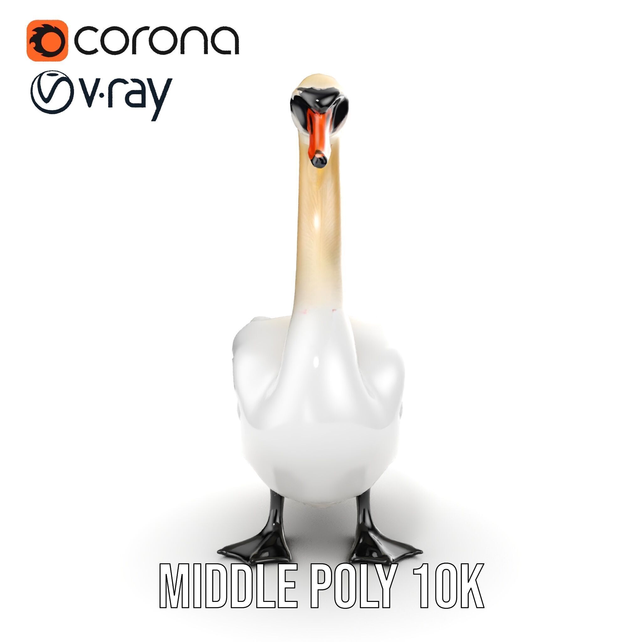 Elegant Swan D Model Pack for Detailed Rendering Low-poly 3D model_12