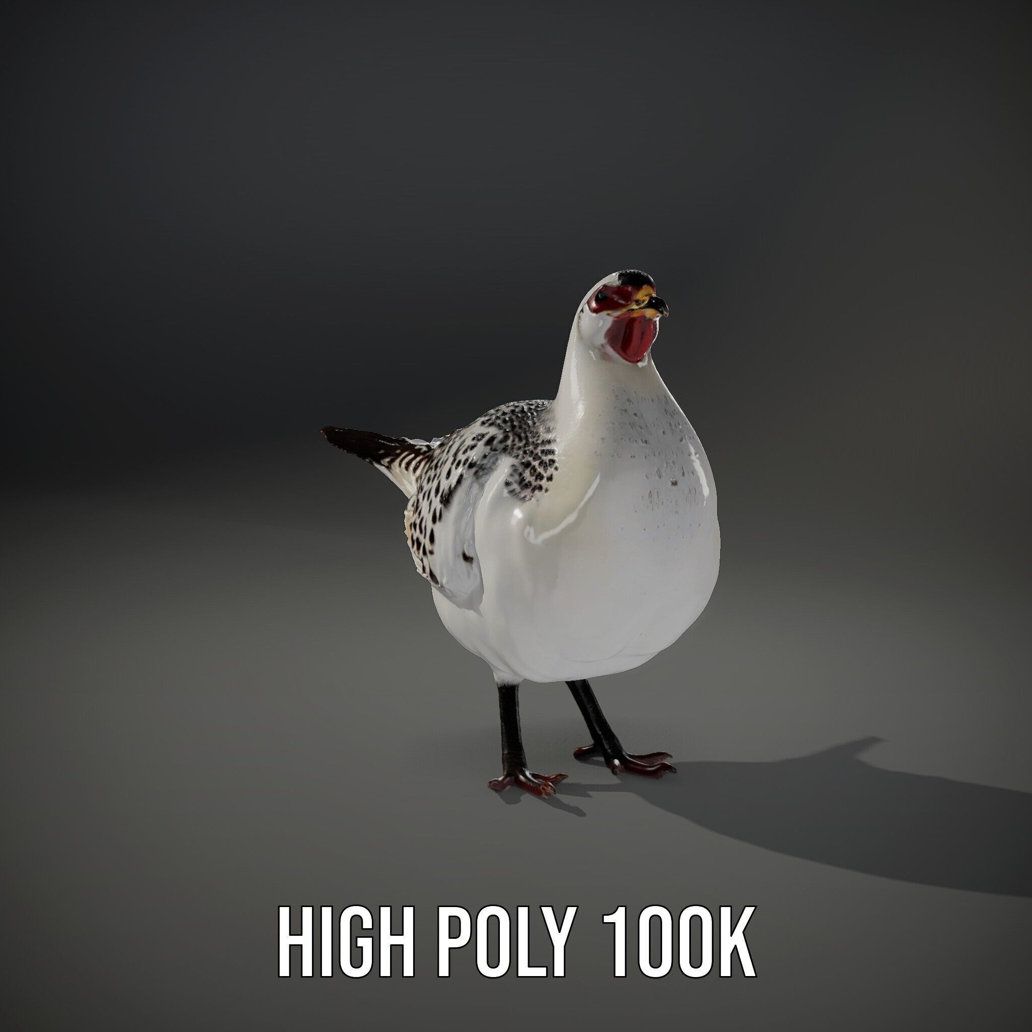 Elegant Pheasant D Model Pack for Interactive and Rendering Uses Low-poly 3D model_15