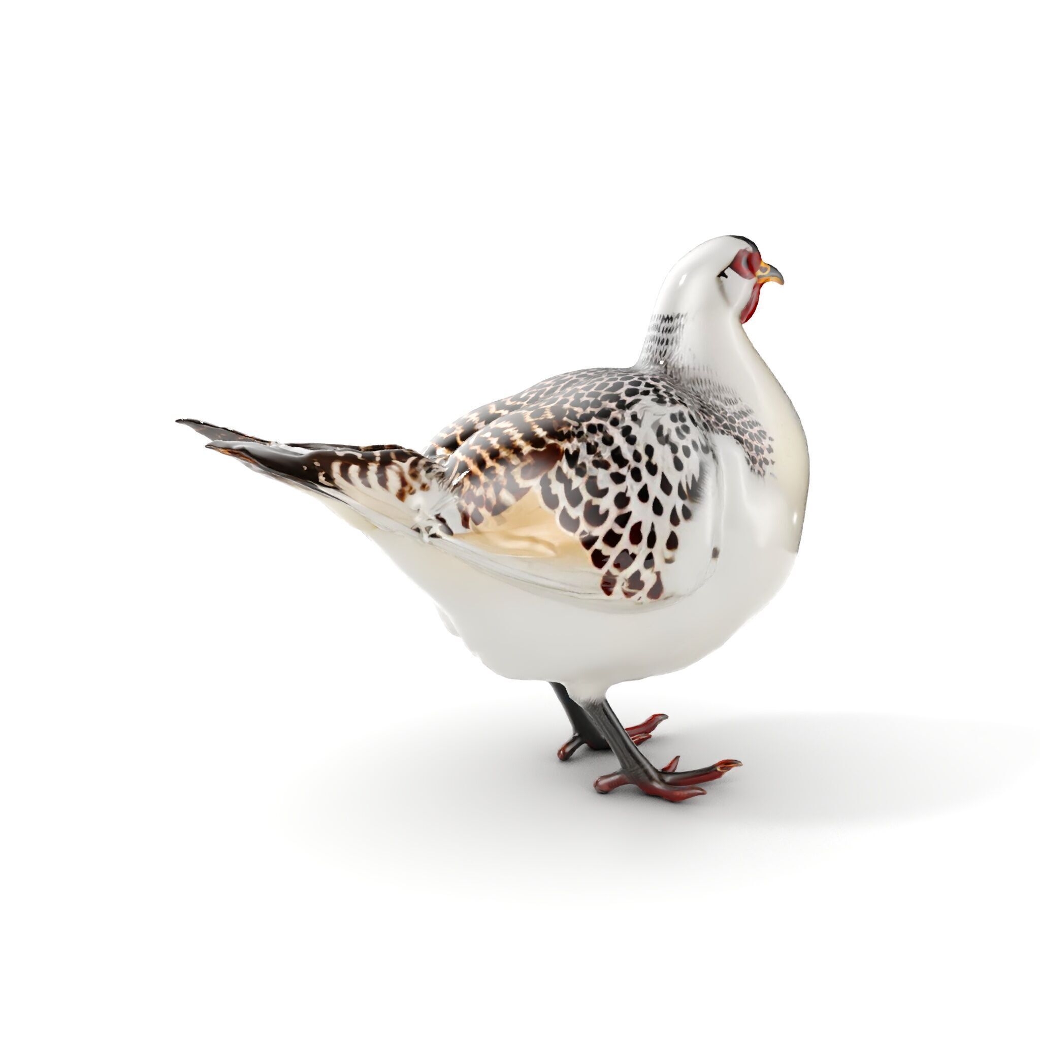 Elegant Pheasant D Model Pack for Interactive and Rendering Uses Low-poly 3D model_13