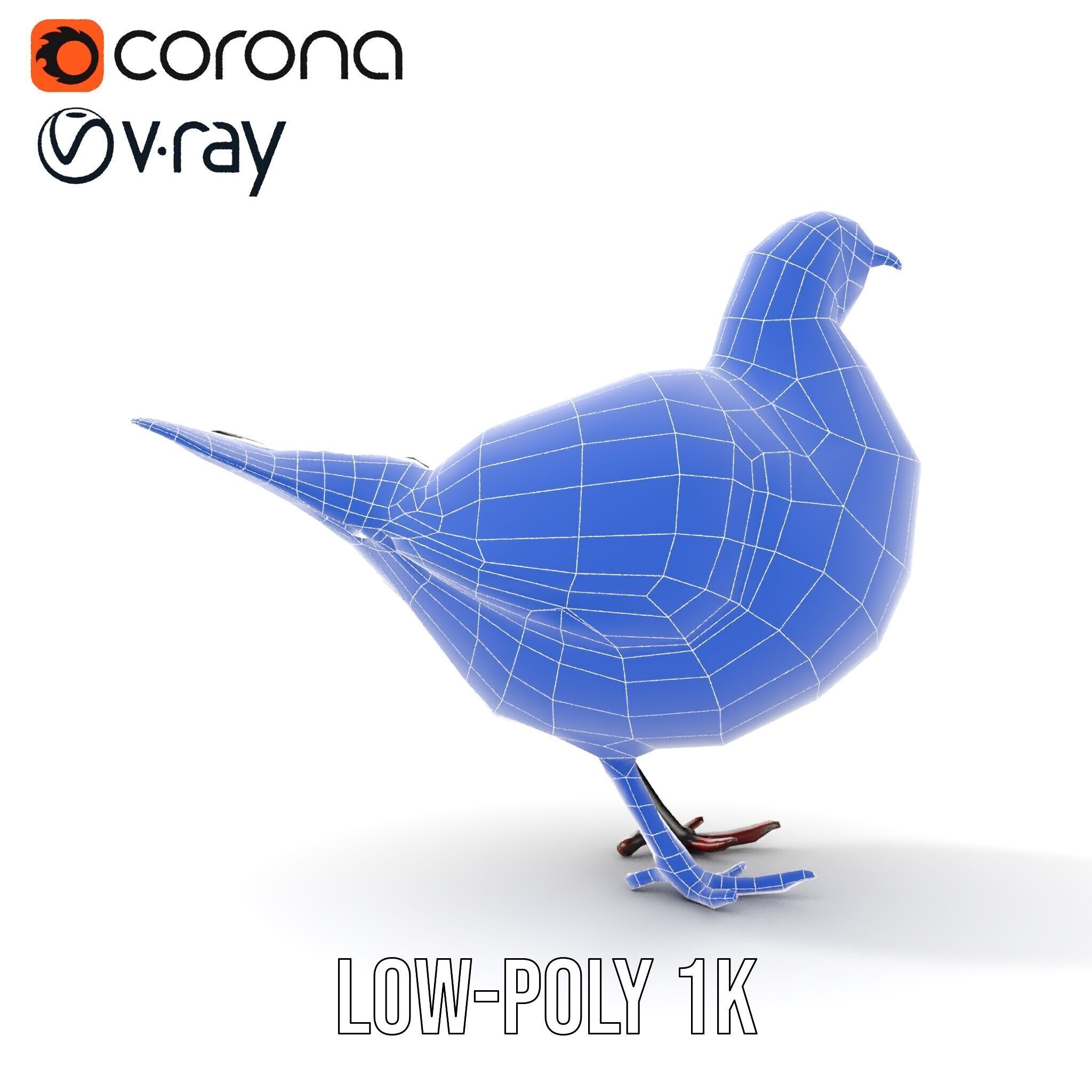 Elegant Pheasant D Model Pack for Interactive and Rendering Uses Low-poly 3D model_30
