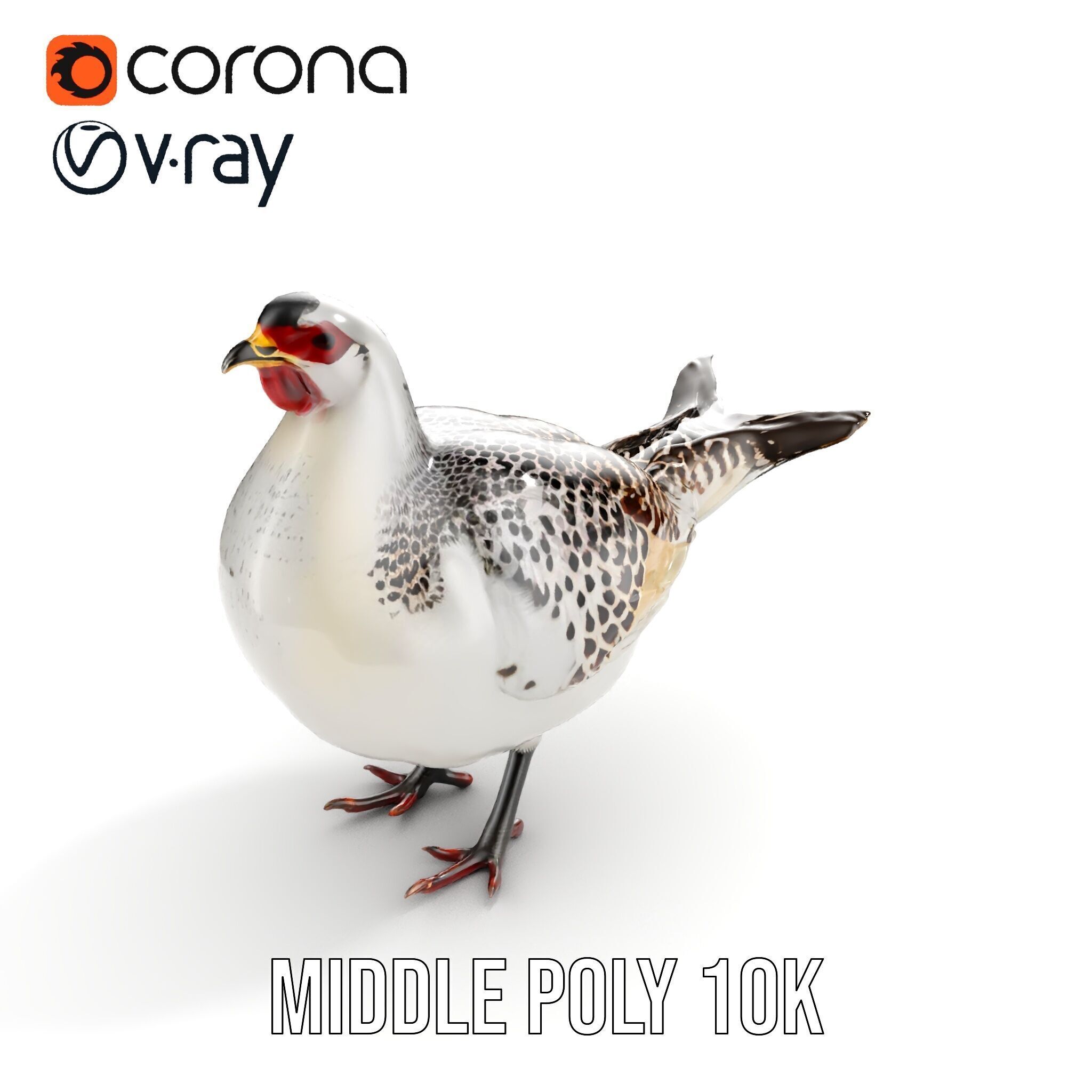 Elegant Pheasant D Model Pack for Interactive and Rendering Uses Low-poly 3D model_7