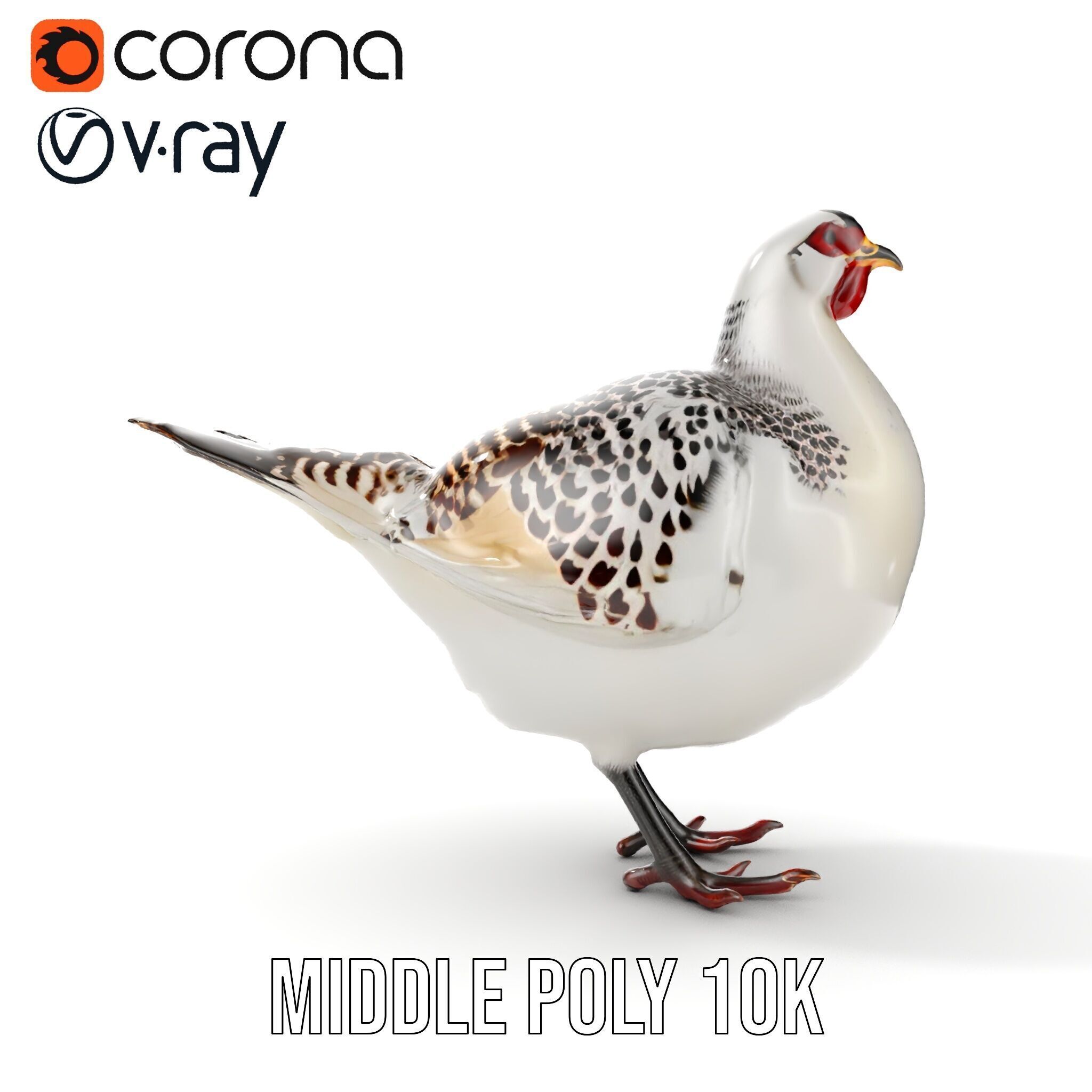 Elegant Pheasant D Model Pack for Interactive and Rendering Uses Low-poly 3D model_16