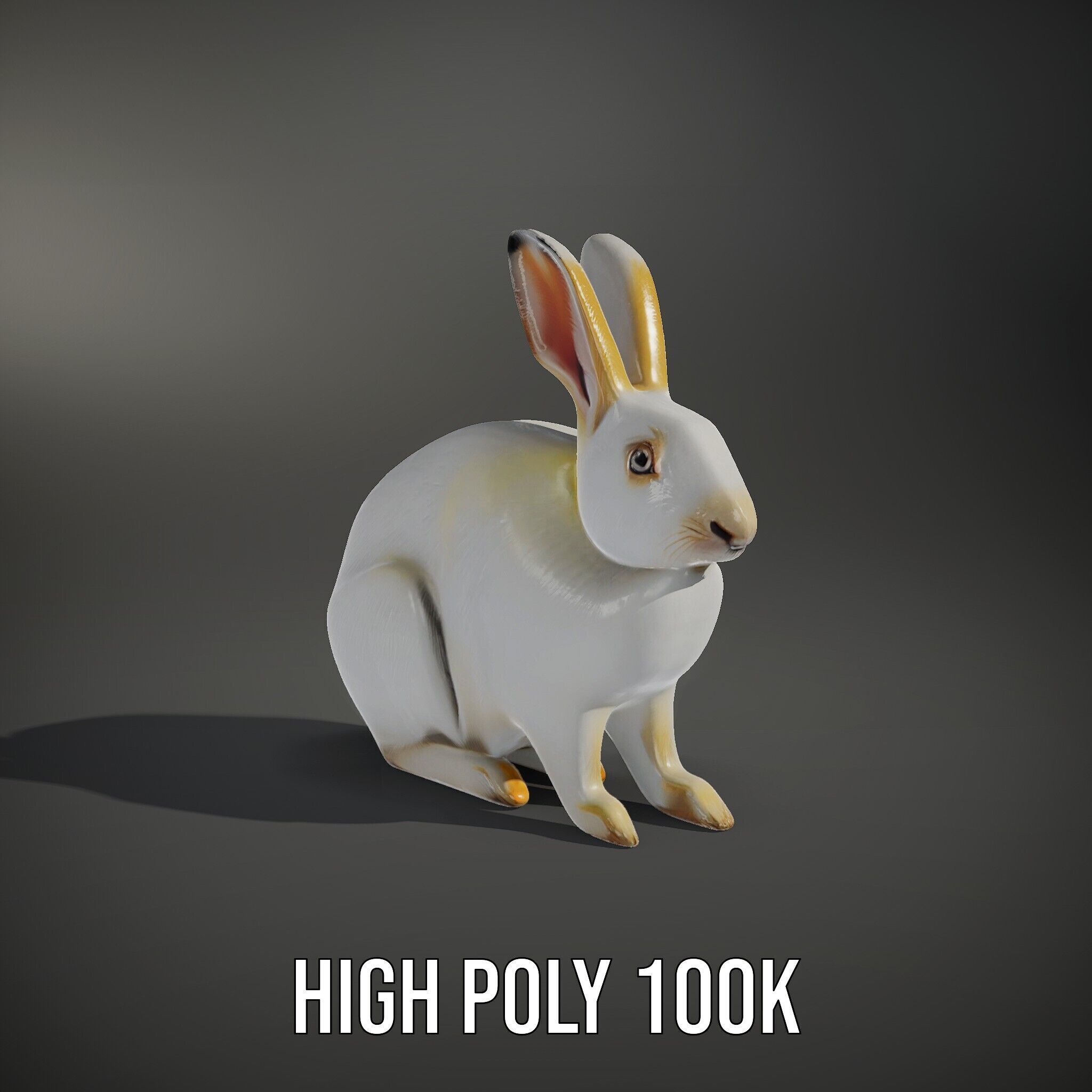 Realistic Rabbit Model Pack for D Rendering and Games Low-poly 3D model_11