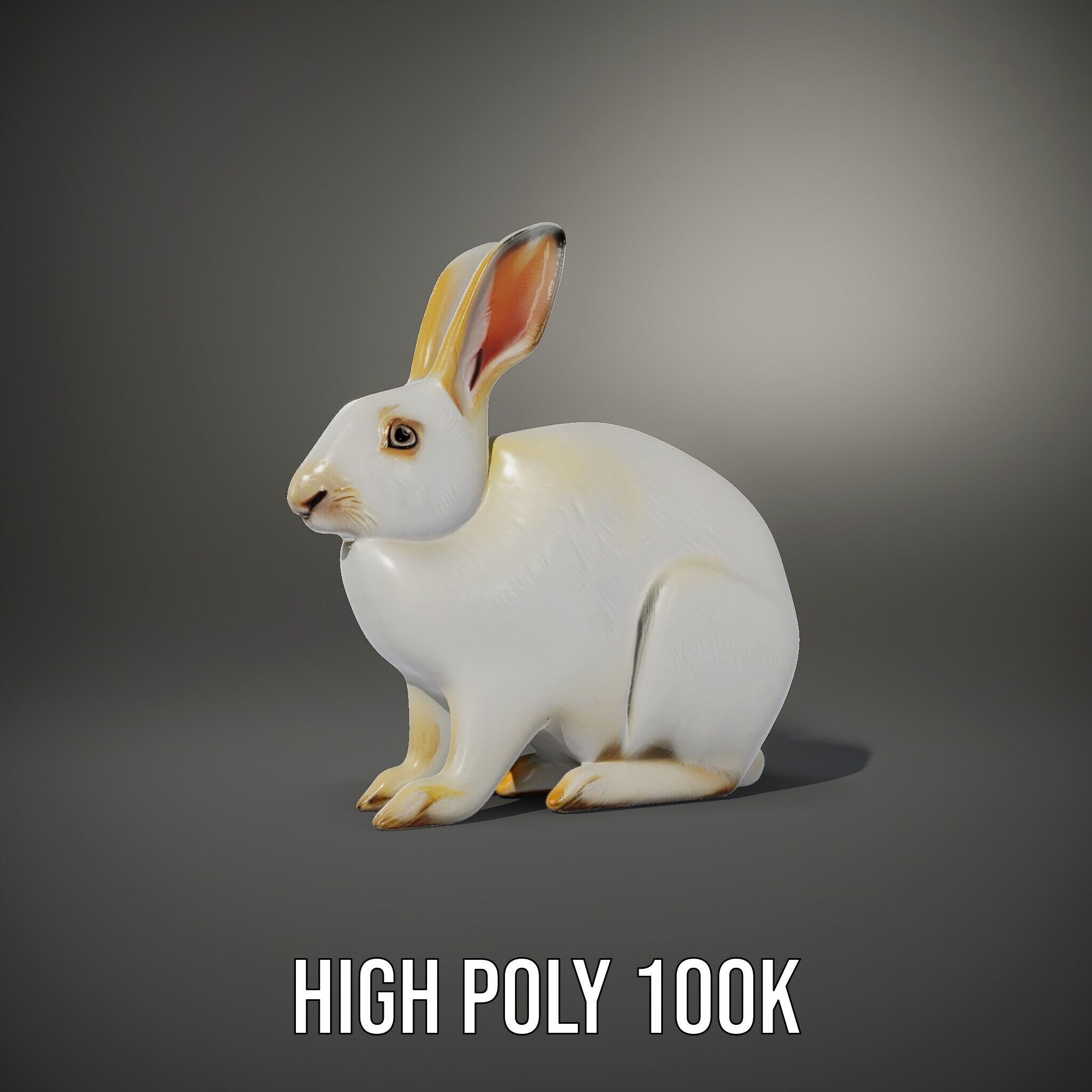 Realistic Rabbit Model Pack for D Rendering and Games Low-poly 3D model_14