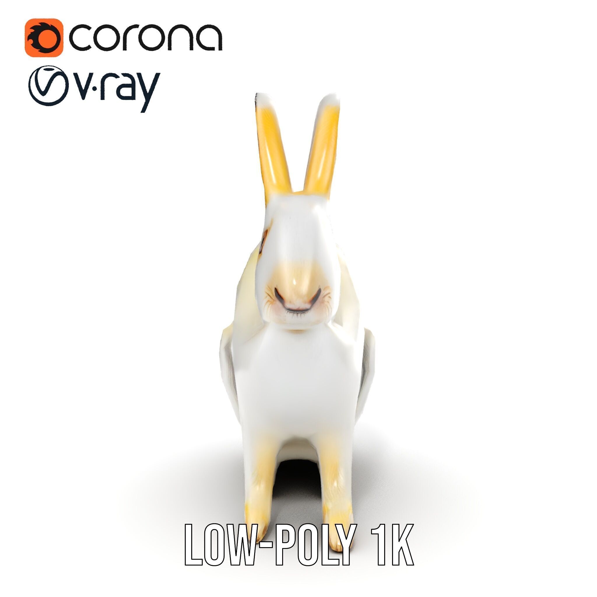 Realistic Rabbit Model Pack for D Rendering and Games Low-poly 3D model_10