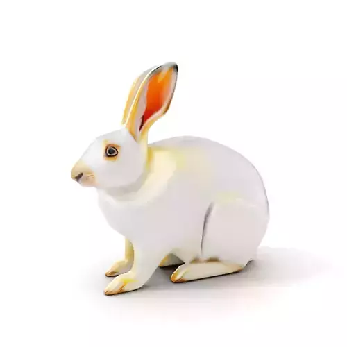 Realistic Rabbit Model Pack for D Rendering and Games Low-poly 3D model