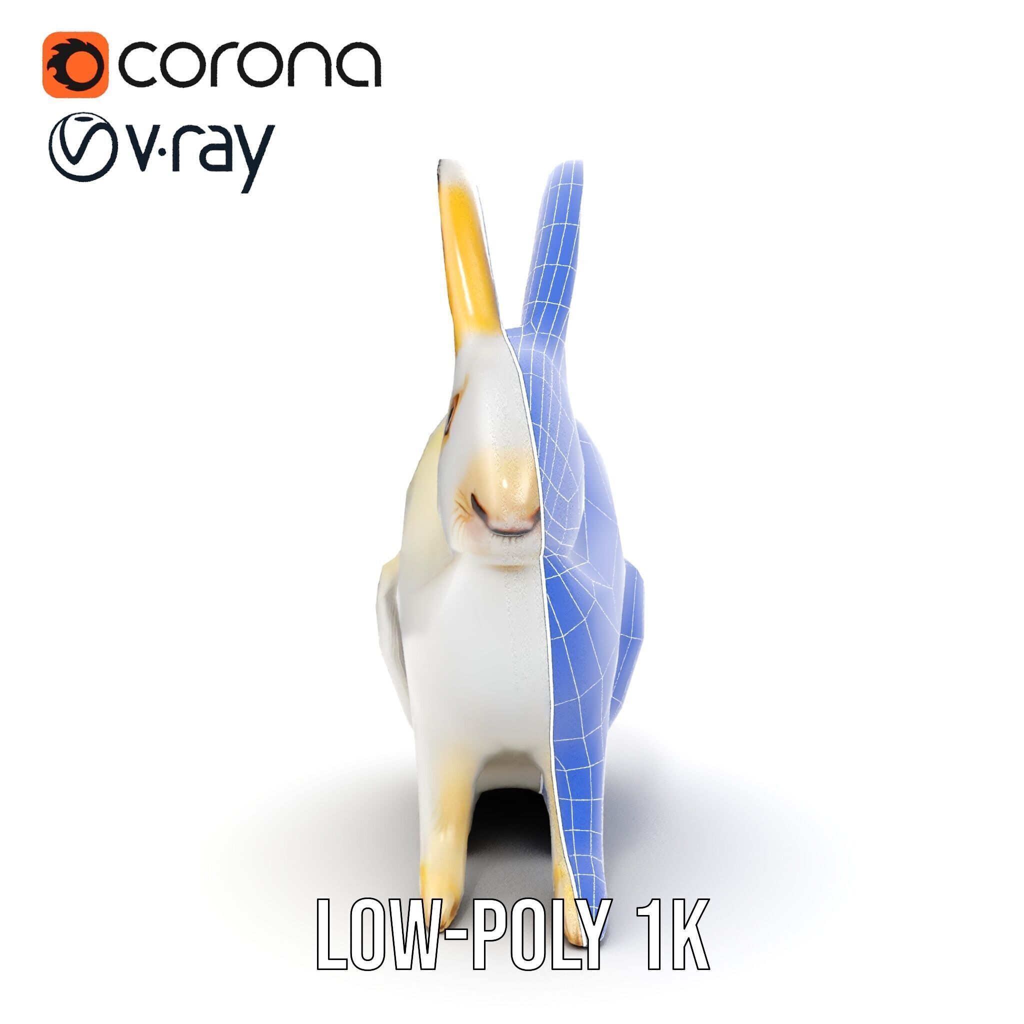 Realistic Rabbit Model Pack for D Rendering and Games Low-poly 3D model_32