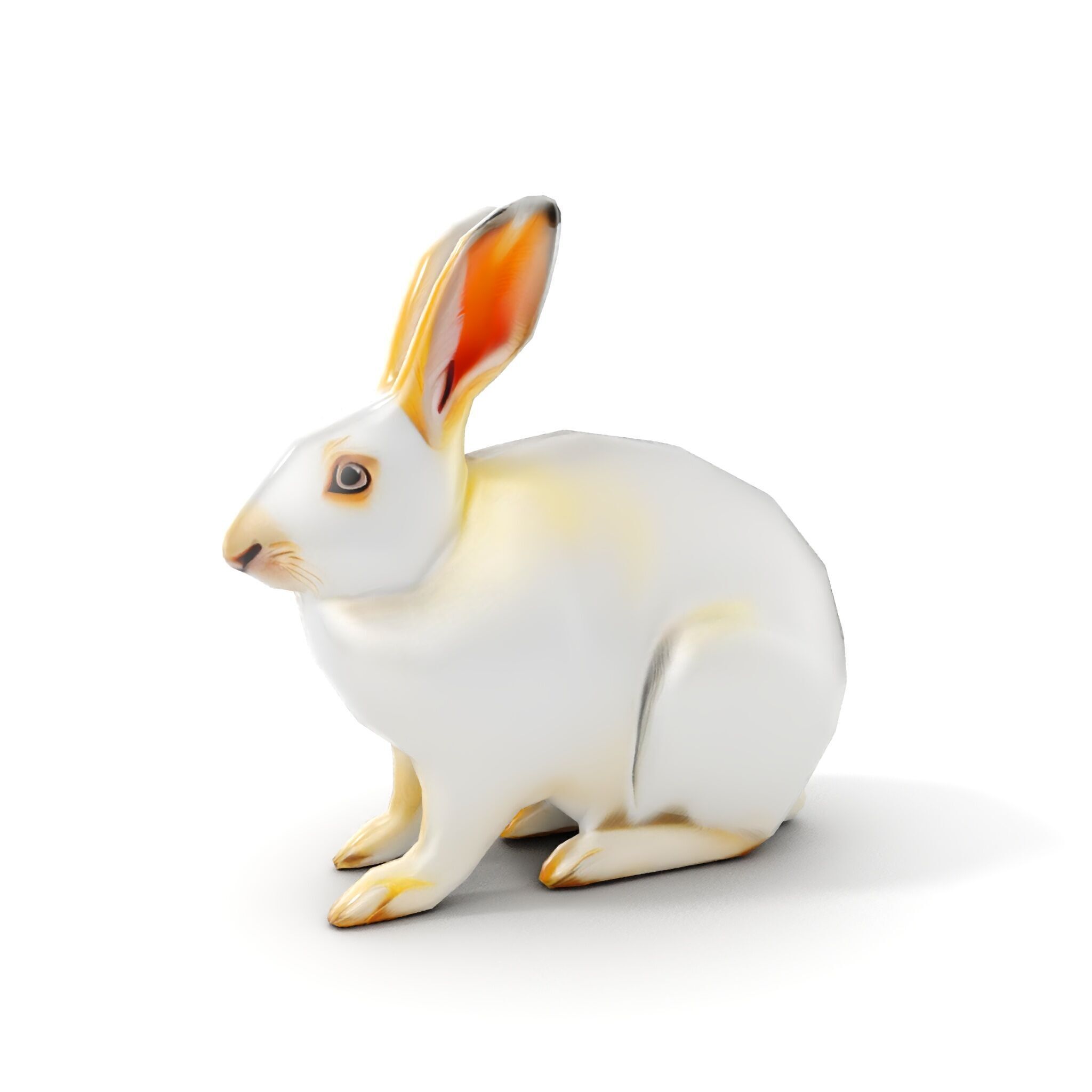 Realistic Rabbit Model Pack for D Rendering and Games Low-poly 3D model_26