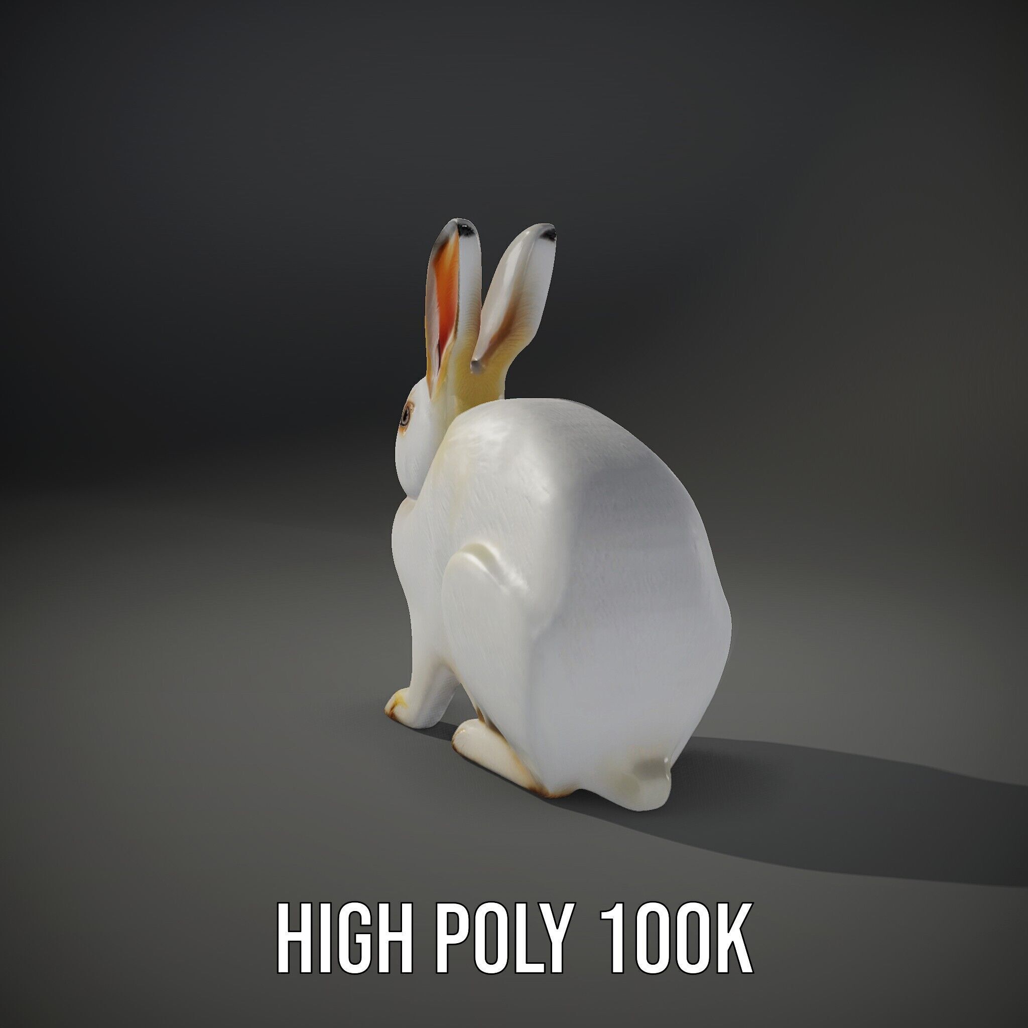 Realistic Rabbit Model Pack for D Rendering and Games Low-poly 3D model_8