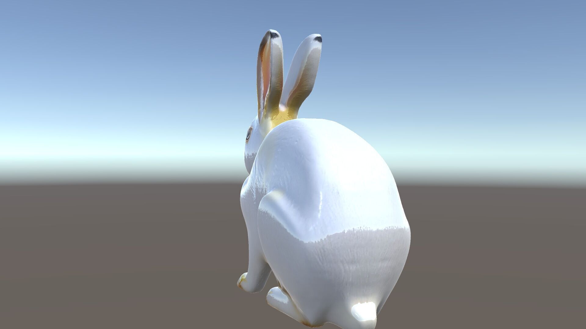 Realistic Rabbit Model Pack for D Rendering and Games Low-poly 3D model_5