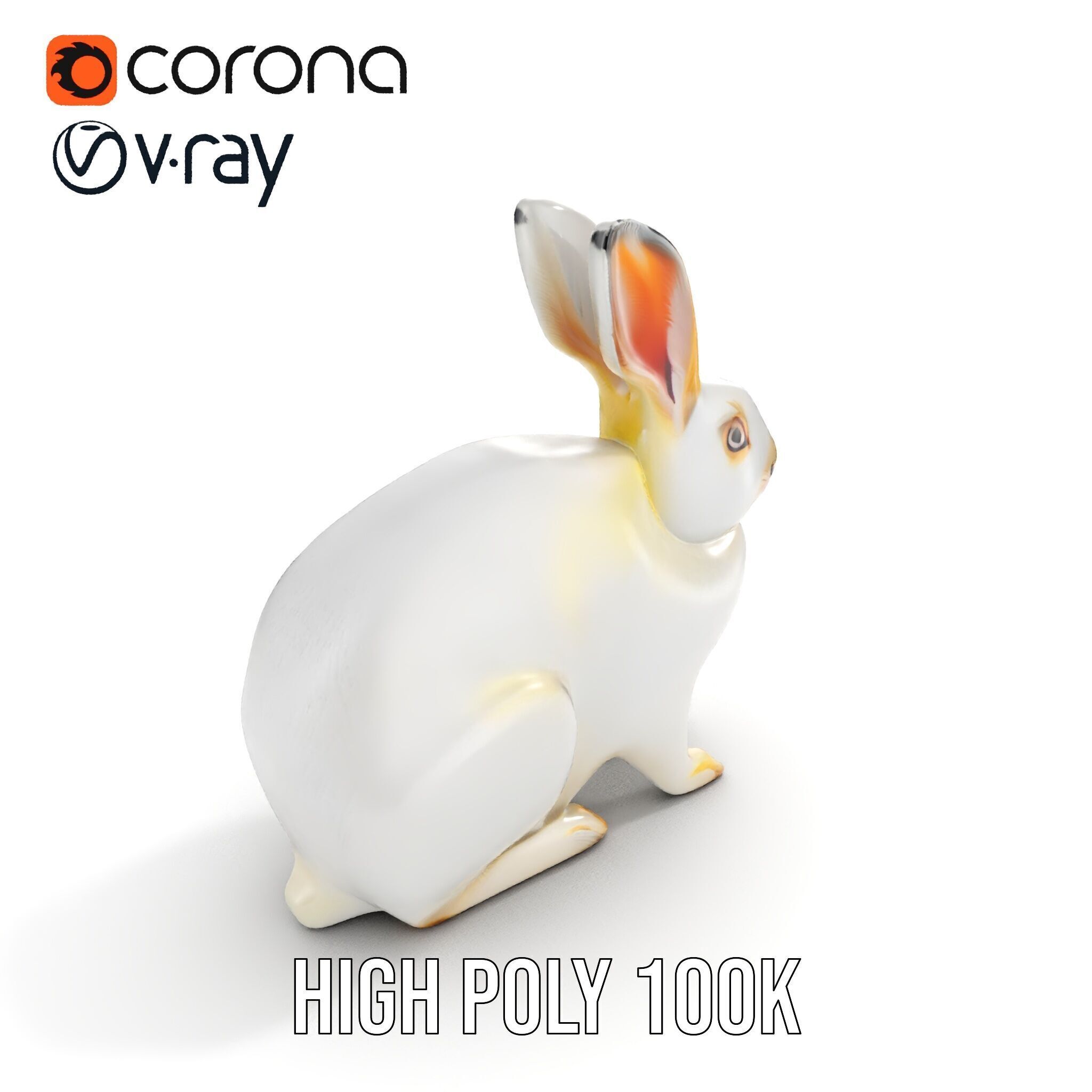 Realistic Rabbit Model Pack for D Rendering and Games Low-poly 3D model_24