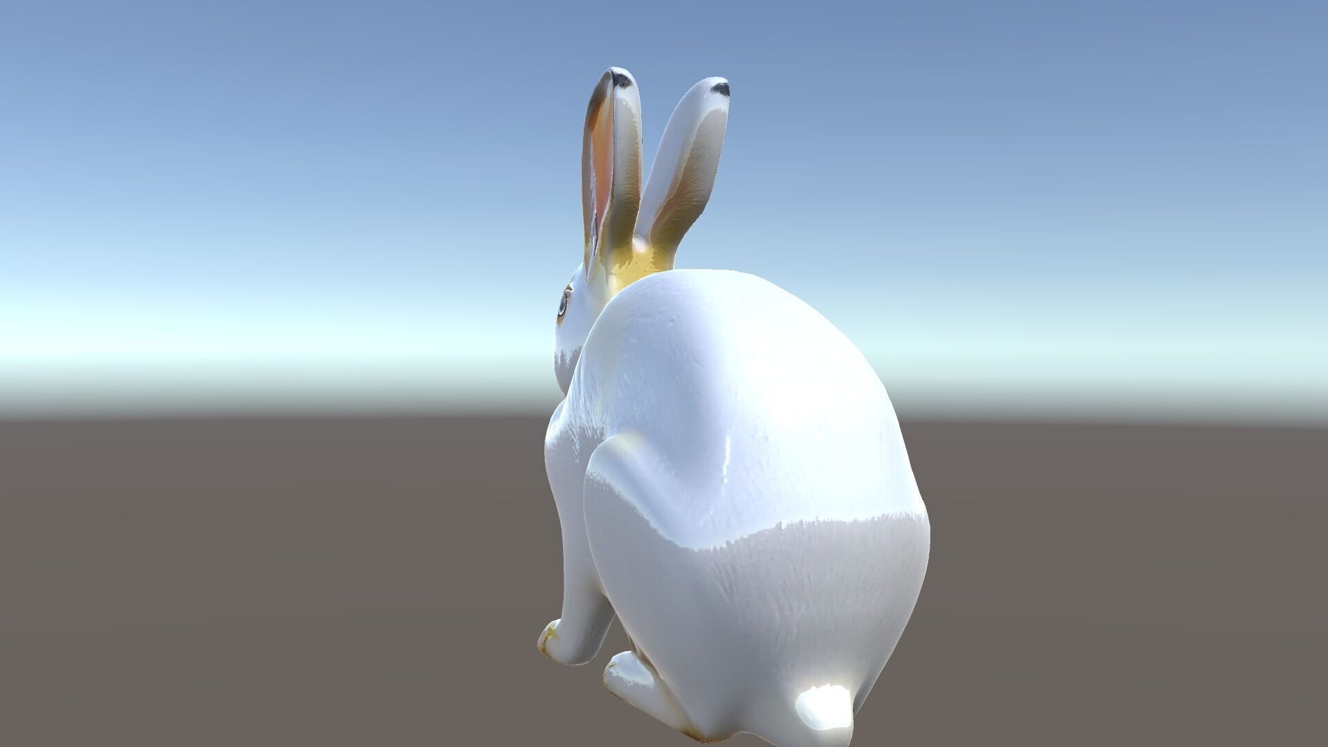 Realistic Rabbit Model Pack for D Rendering and Games Low-poly 3D model_33