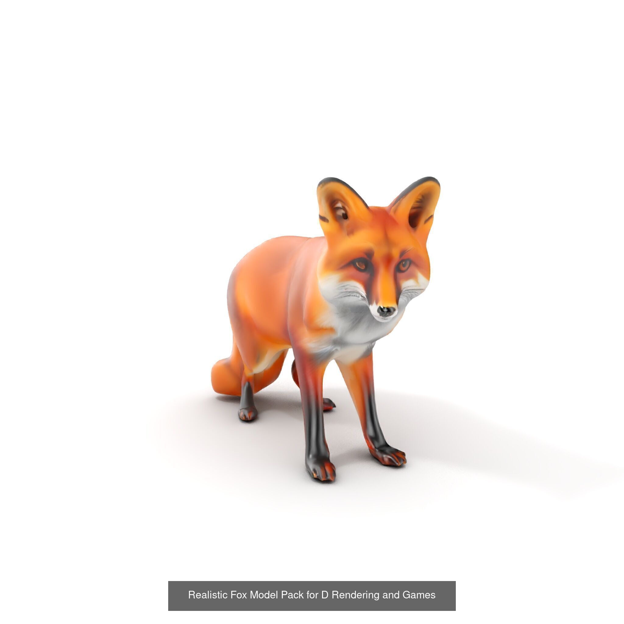 tundra animals collection _29